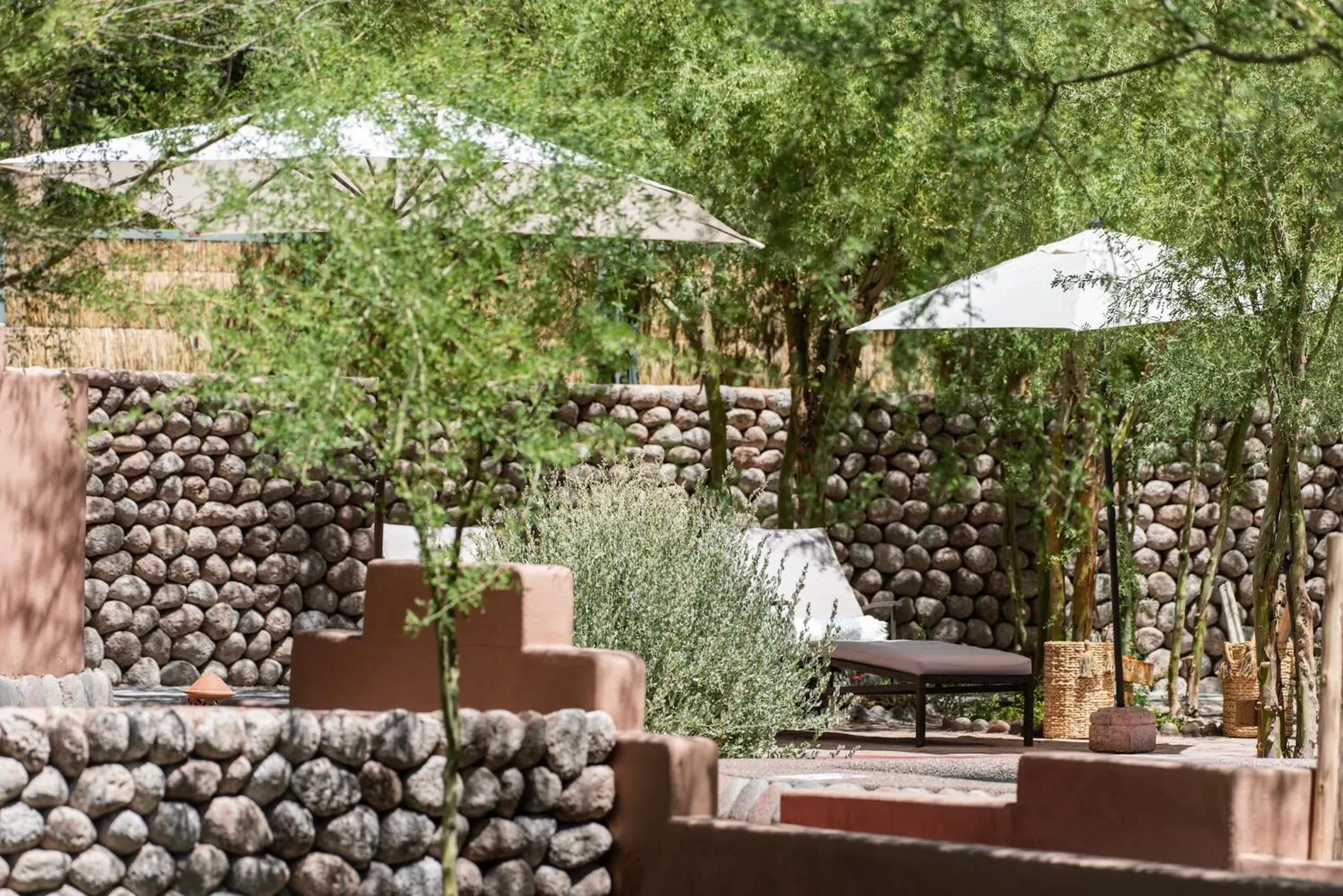 Day in Naturalis Hotel