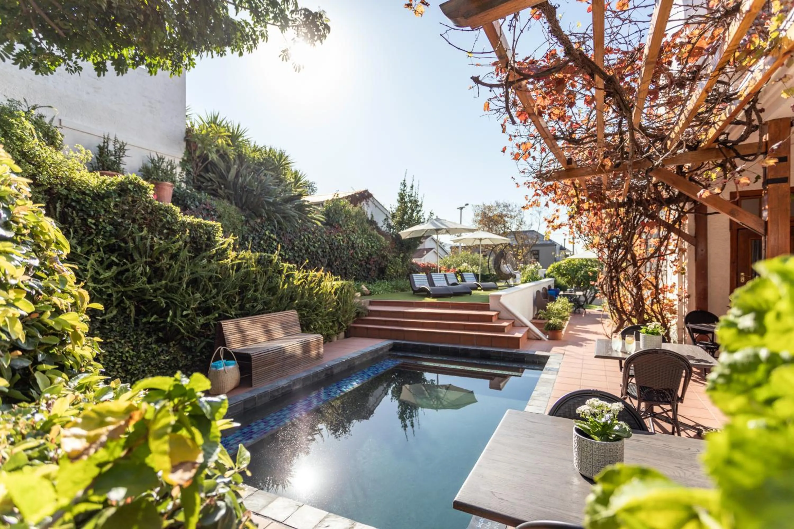 Garden in Acorn House