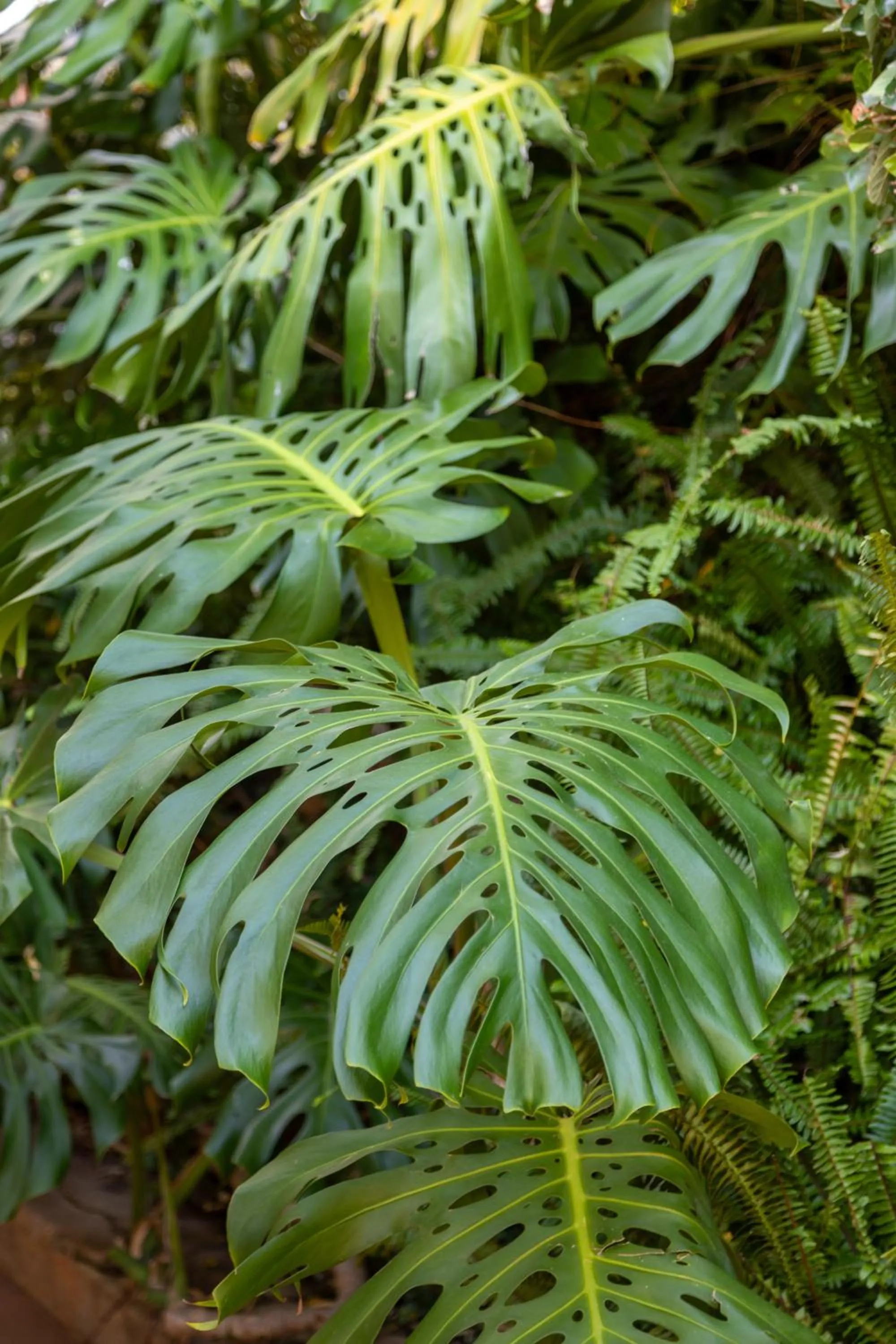 Natural landscape in Acorn House