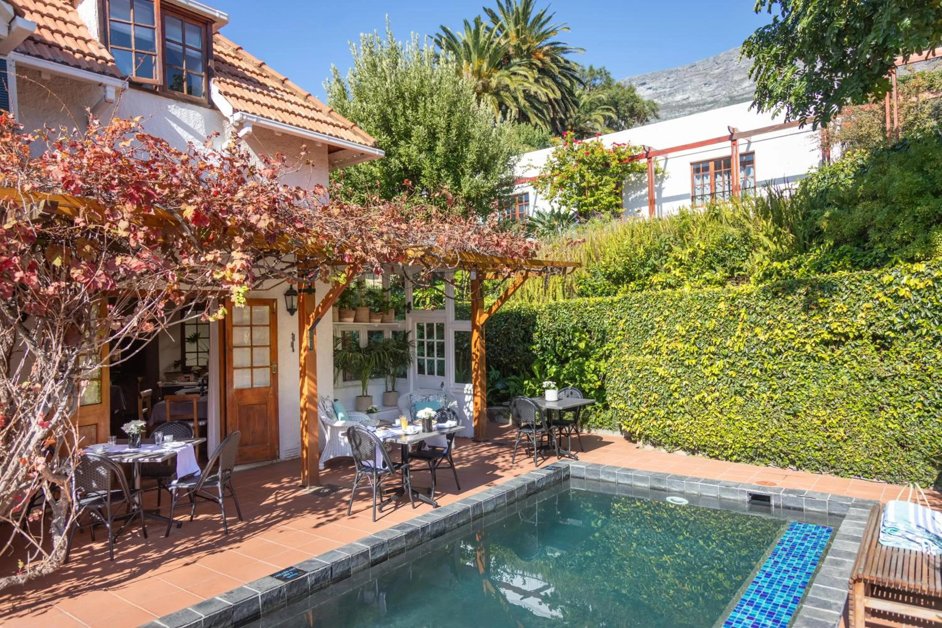 Garden in Acorn House