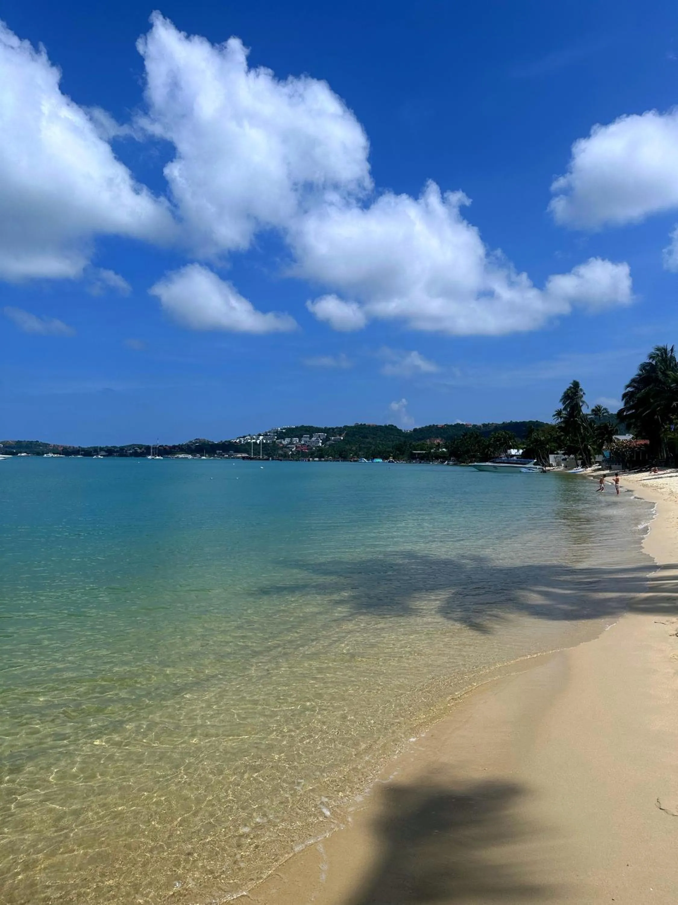 Bangrak Pier Bungalow