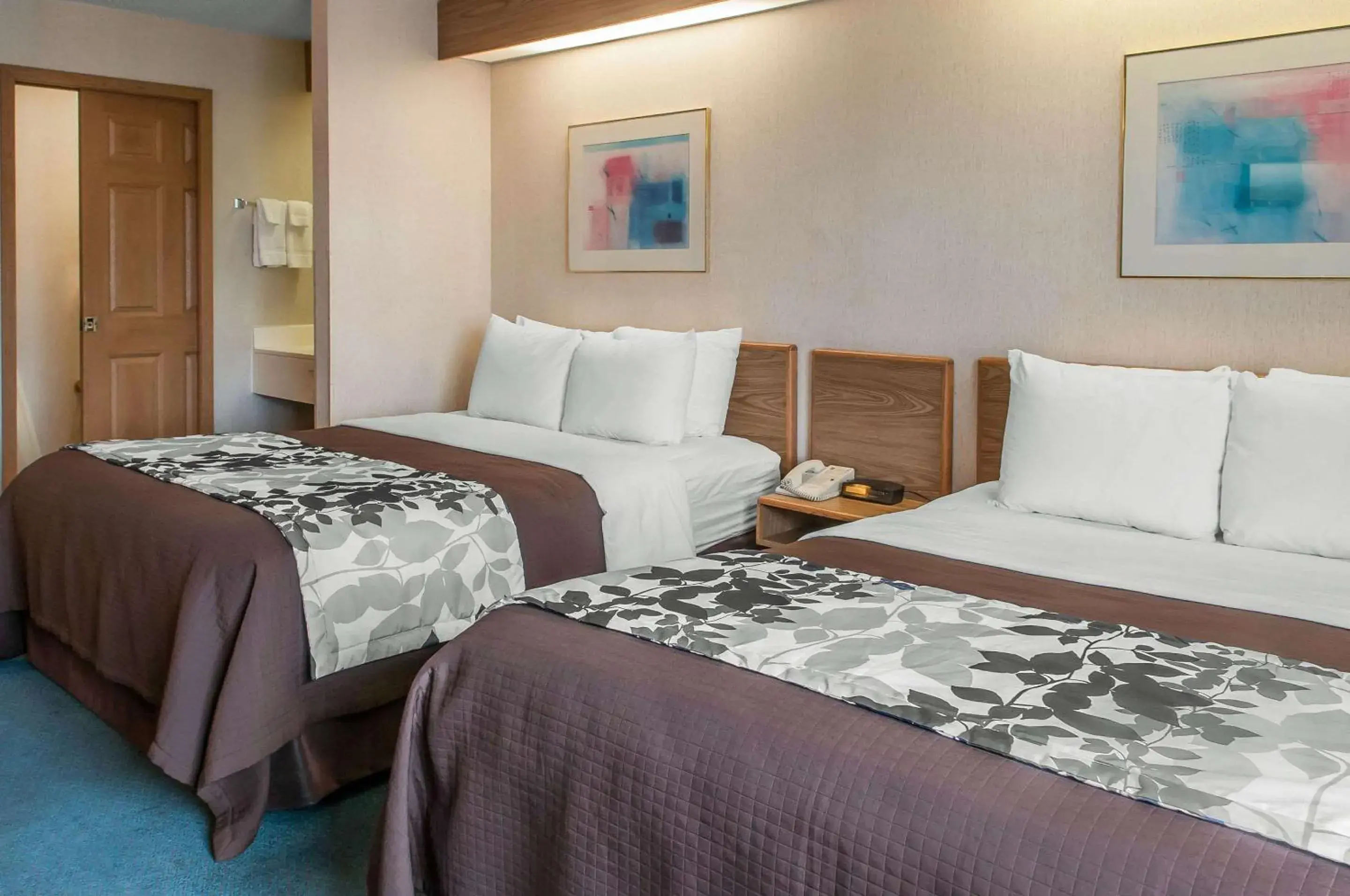 Photo of the whole room, Bed in Sleep Inn University Photo of the whole room, Bed in Sleep Inn University