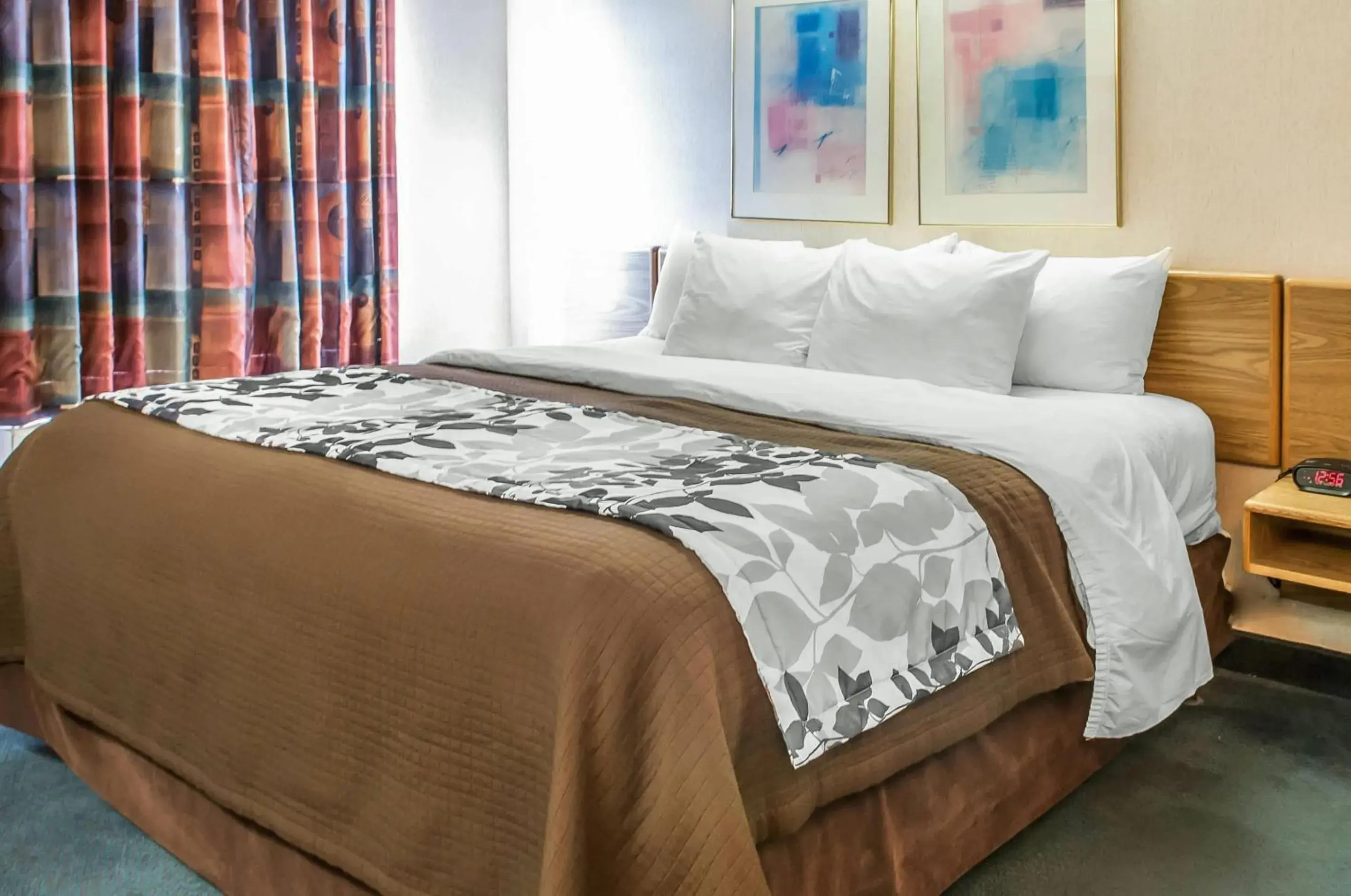 Bedroom, Bed in Sleep Inn University Bedroom, Bed in Sleep Inn University