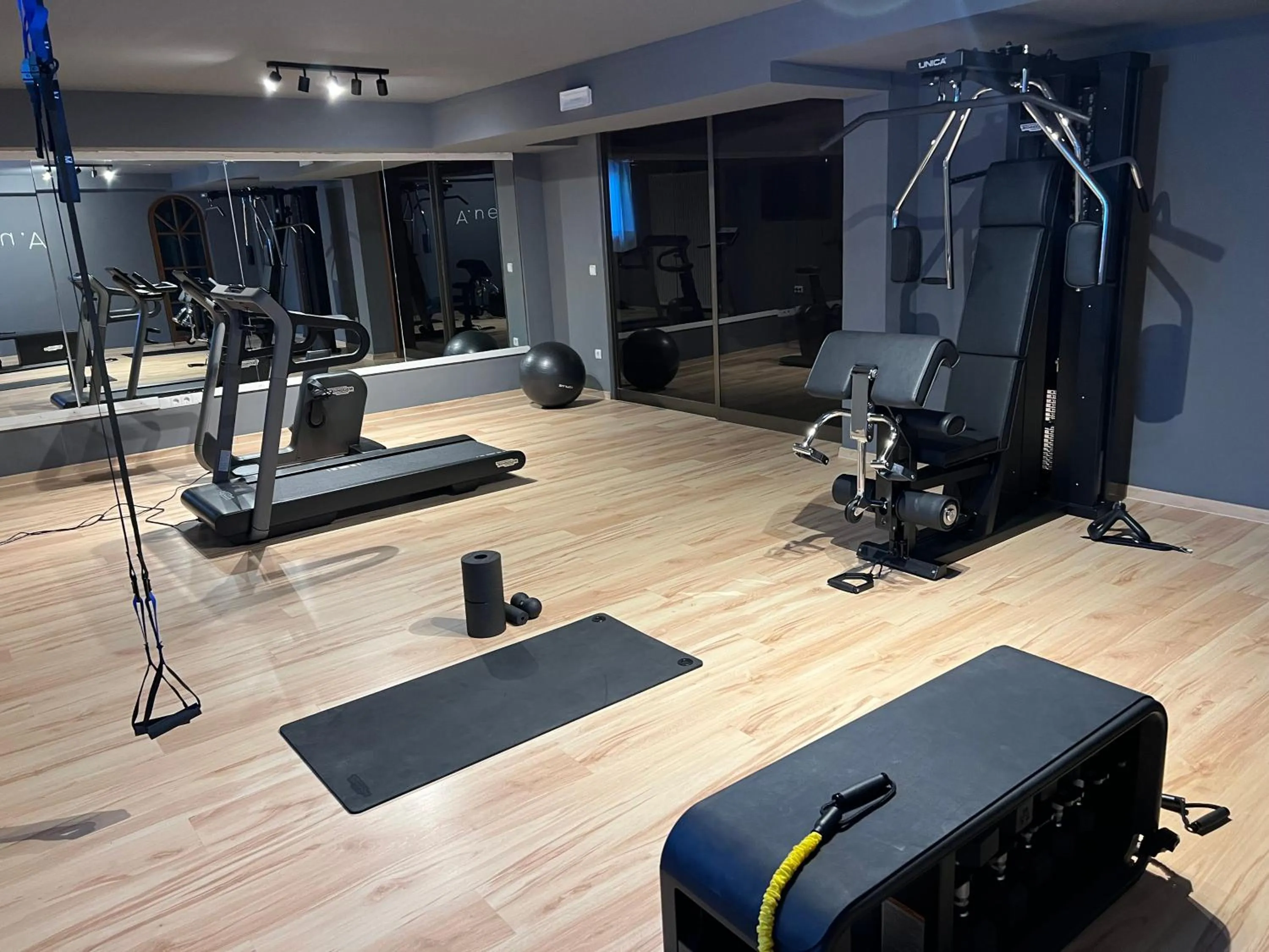 Fitness centre/facilities in Anett hotel