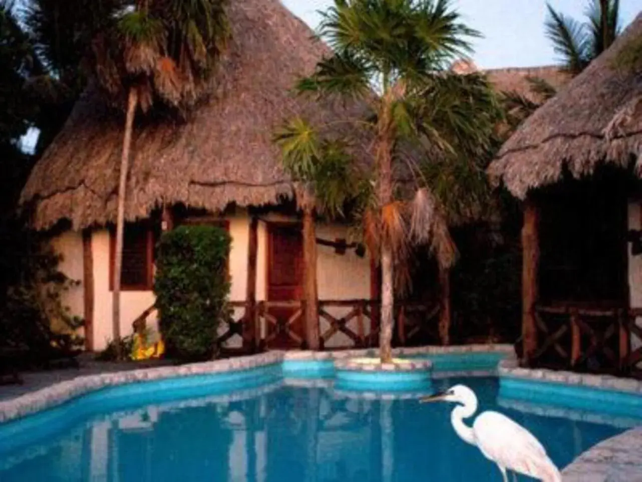 Swimming pool in Holbox by Xaloc Swimming pool in Holbox by Xaloc