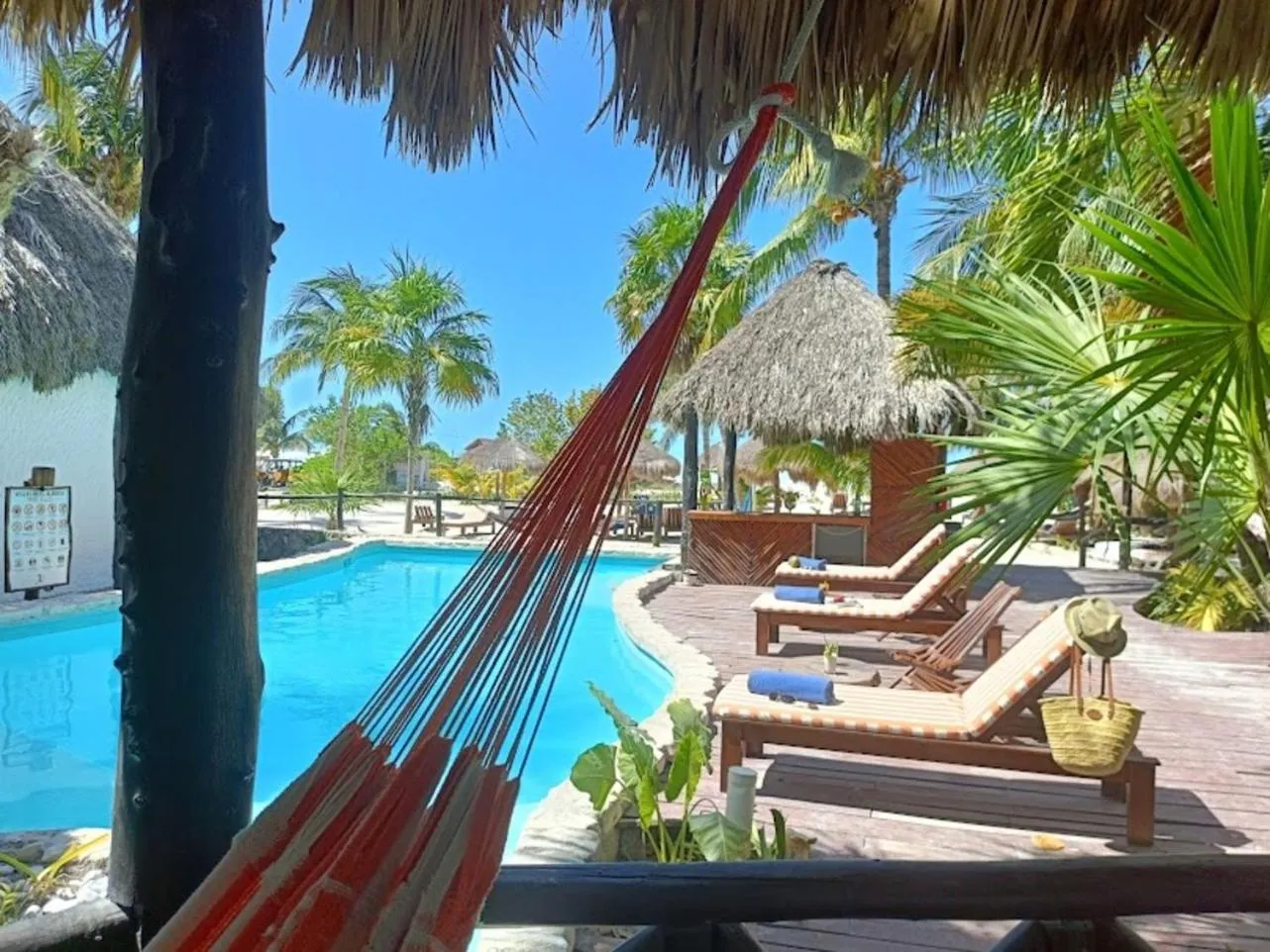 Natural landscape in Holbox by Xaloc