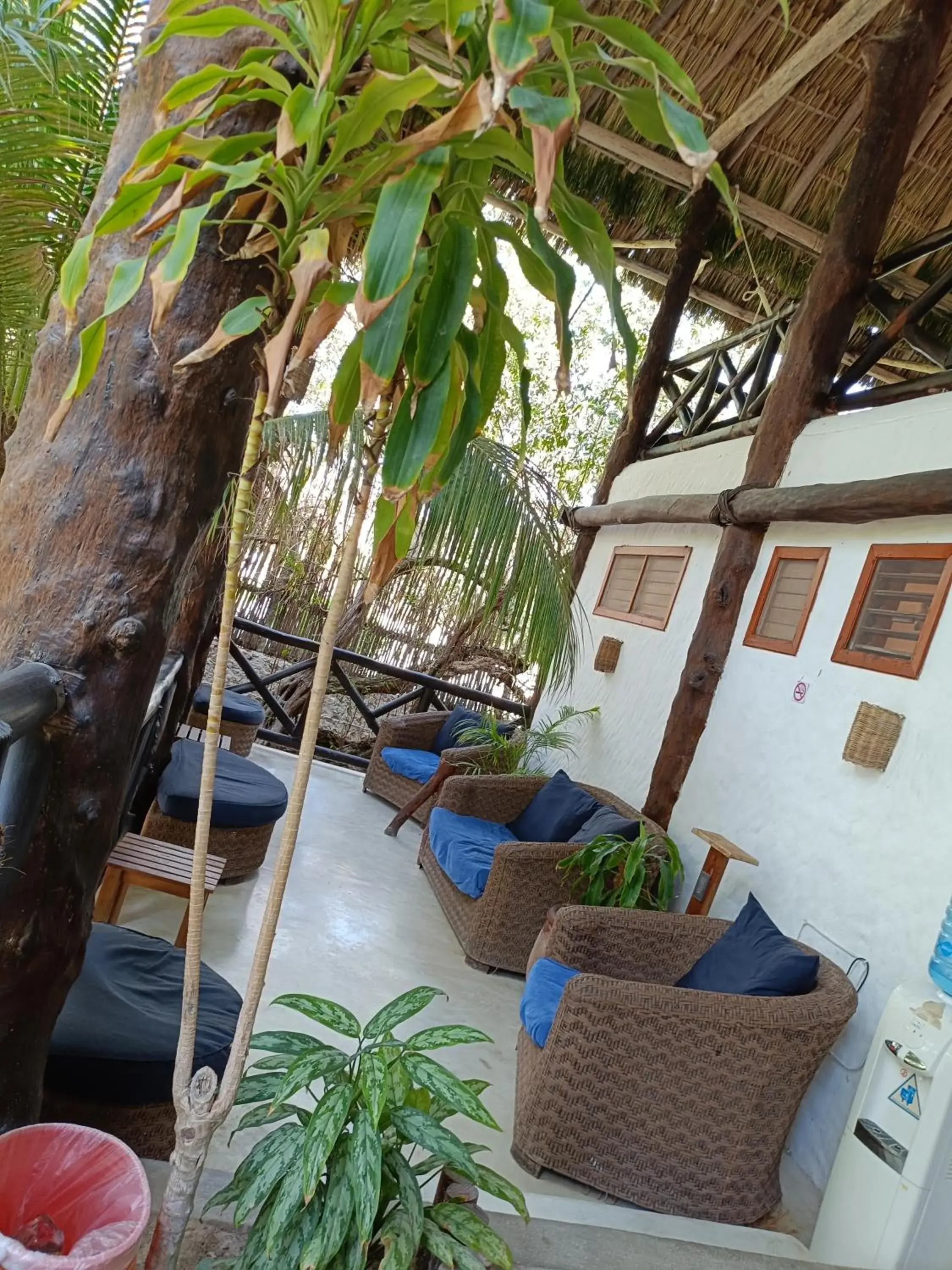 Lobby or reception in Holbox by Xaloc Lobby or reception in Holbox by Xaloc