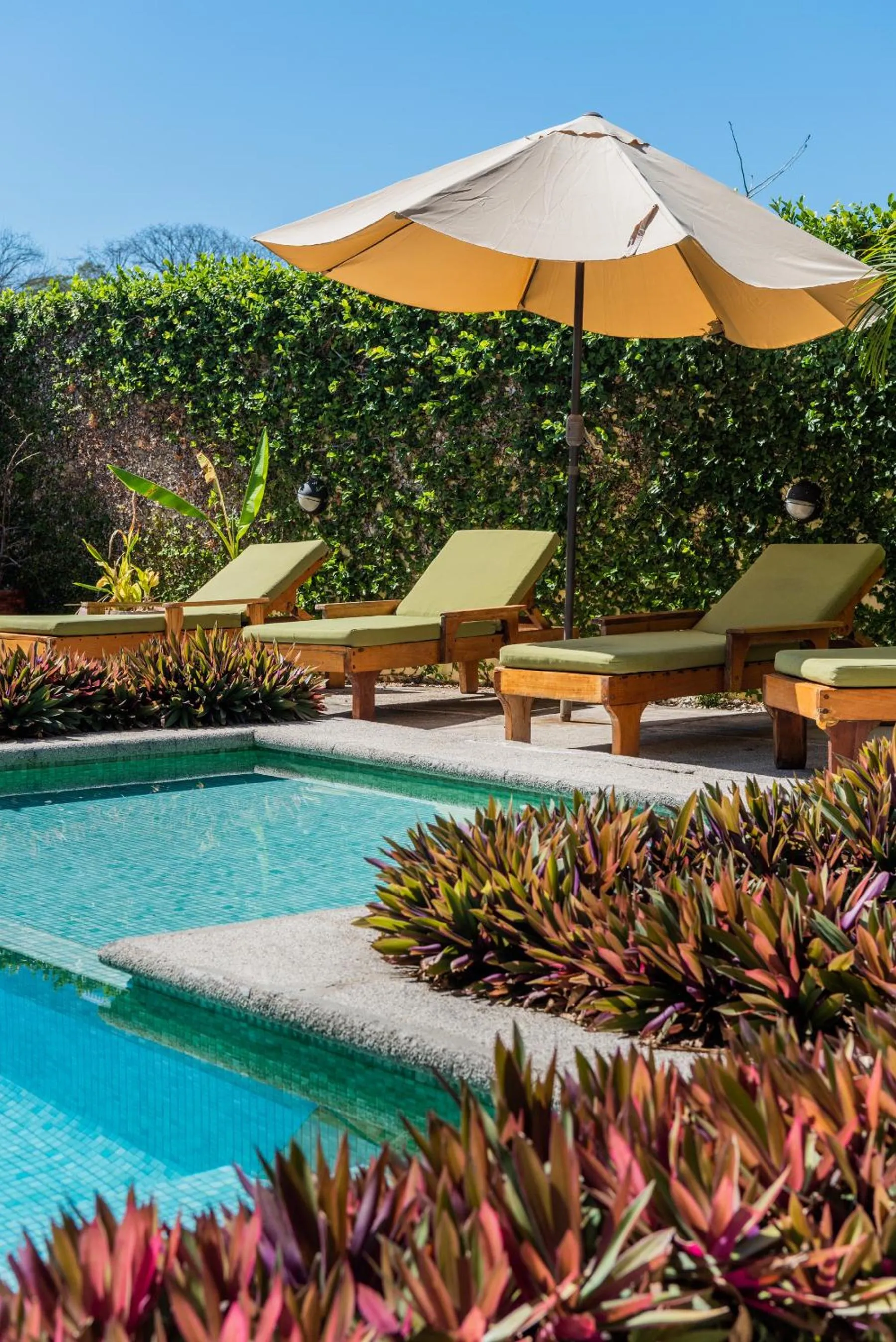 Natural landscape in Nautilus Surf & Yoga Villas Santa Teresa