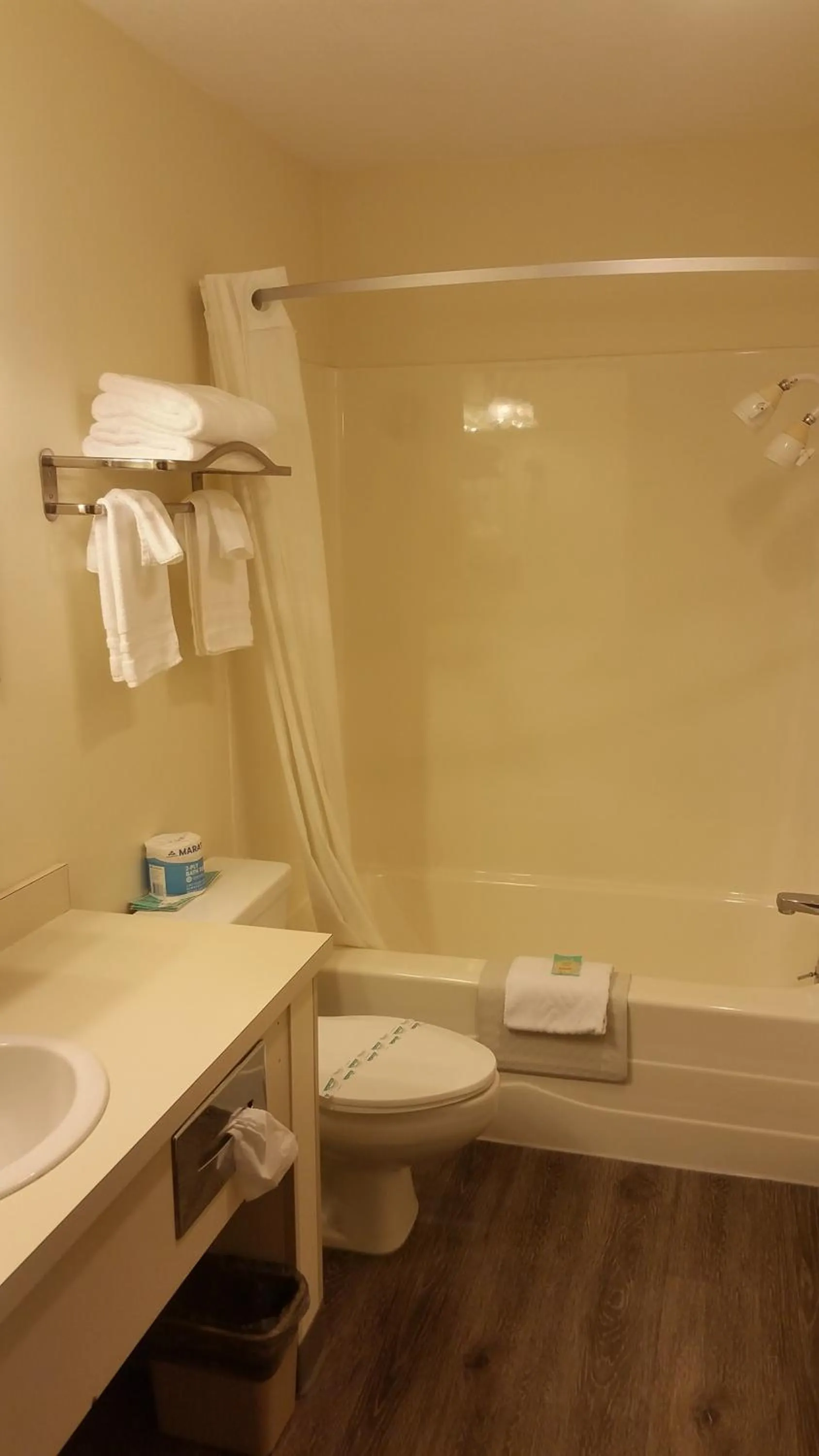 Bathroom in Tradewinds Motel