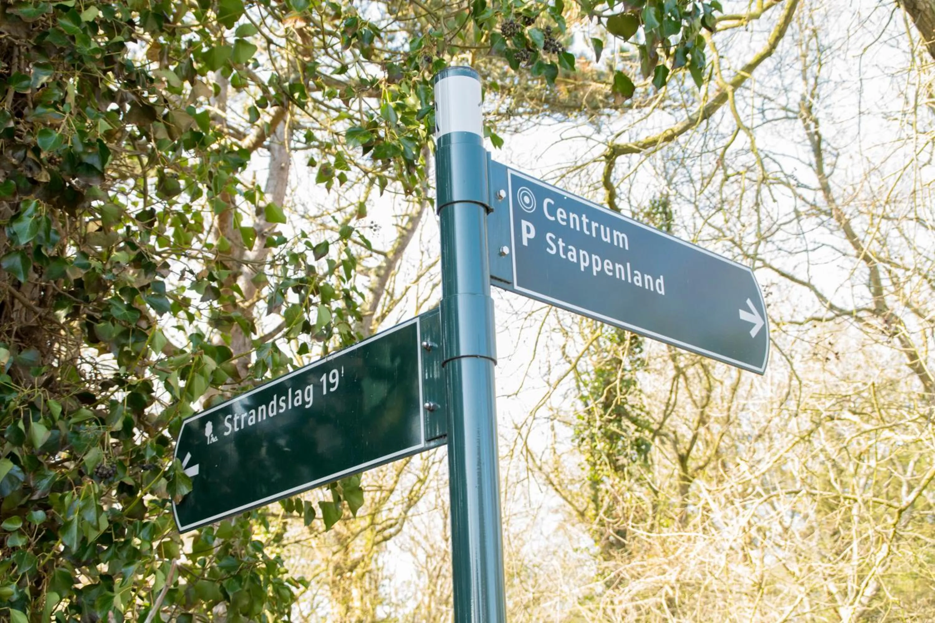 On site in Duin en Zee Texel