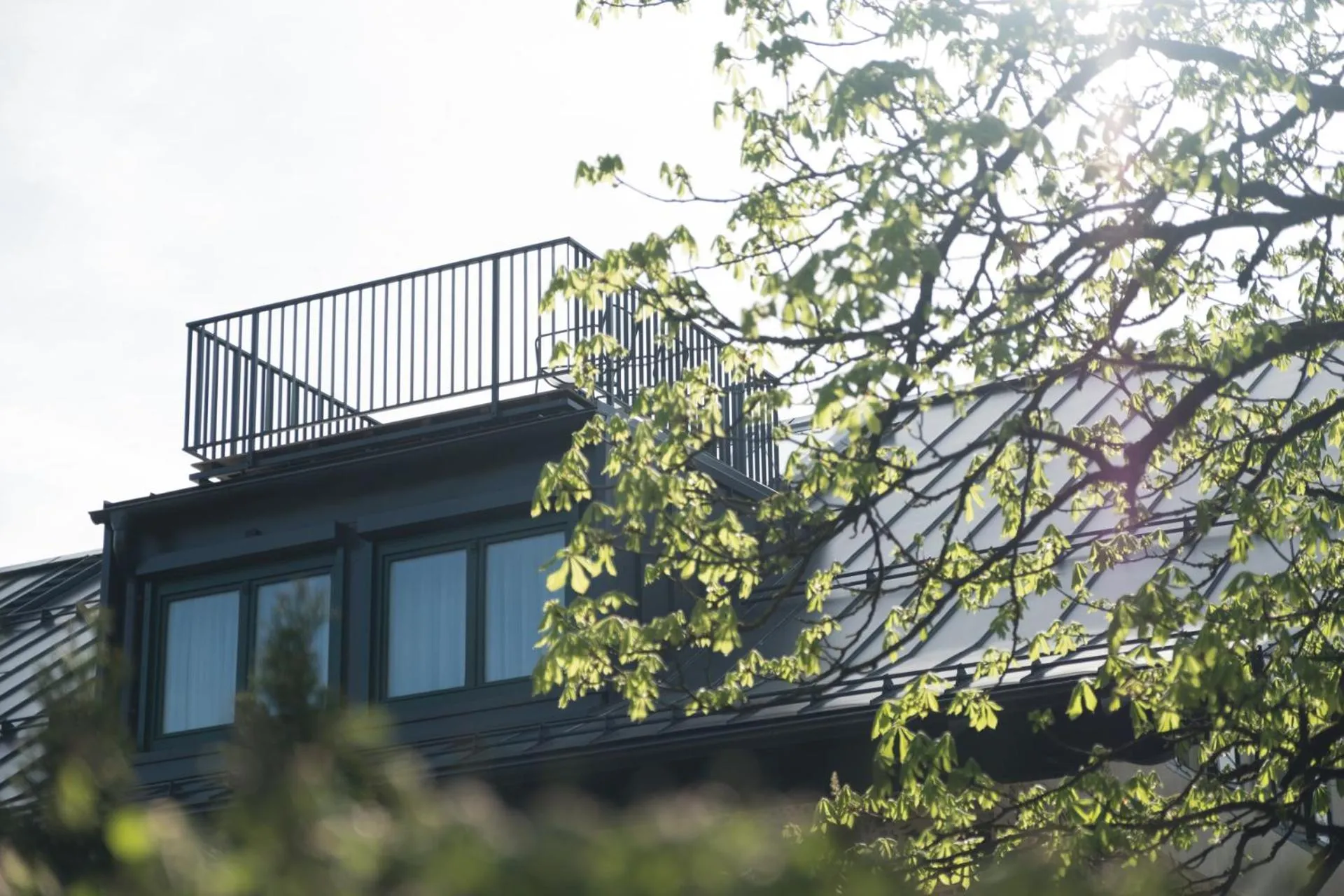 Balcony/Terrace in Sauerweingut