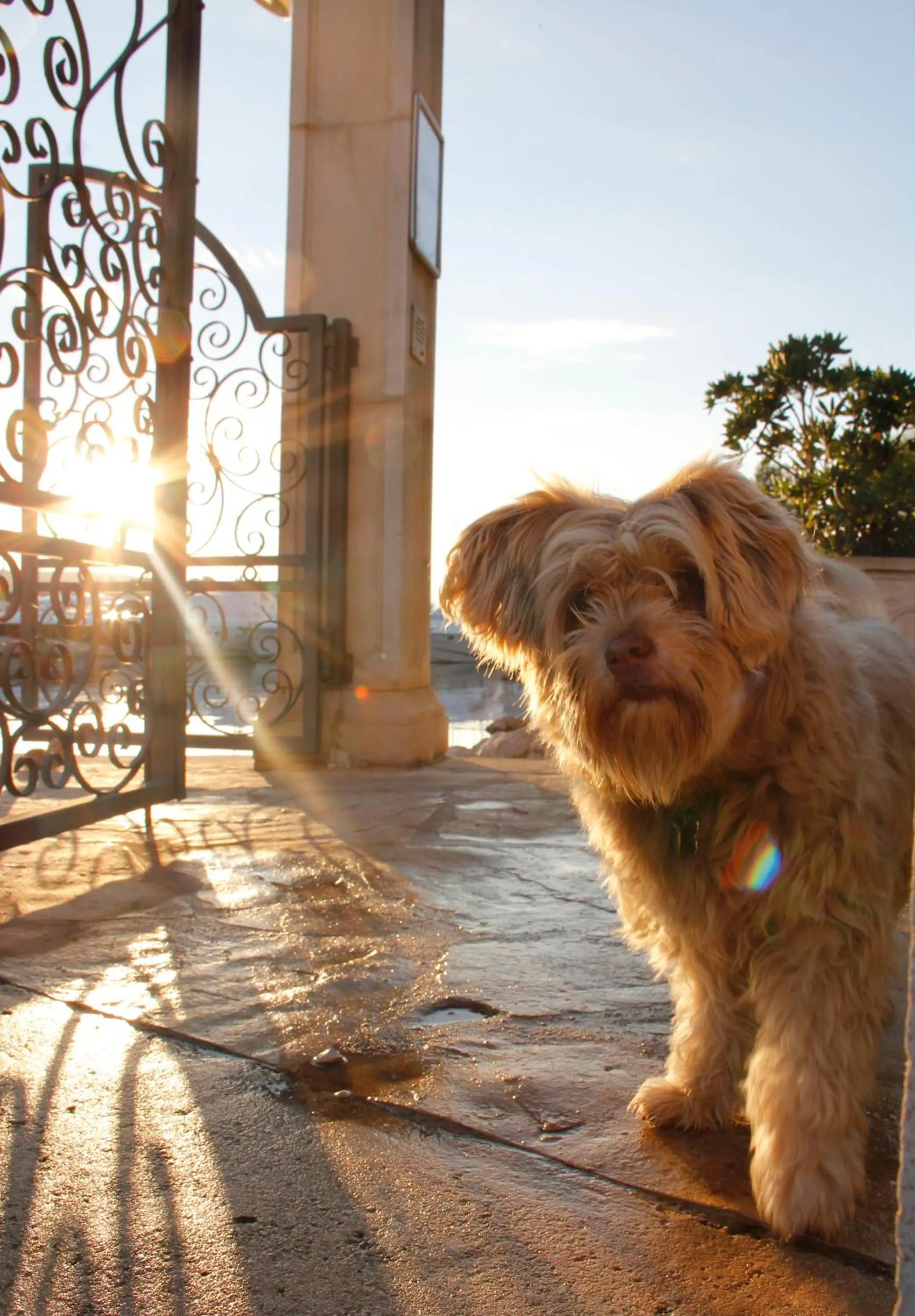 Summer in Marina Frapa Resort Rogoznica