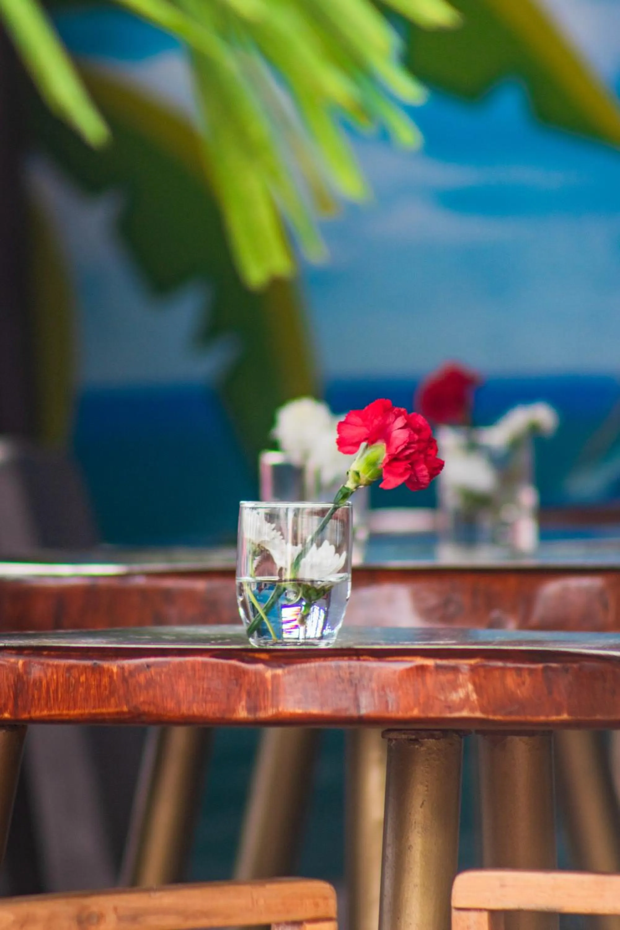 Balcony/Terrace in Hotel Casa Centenario Getsemaní