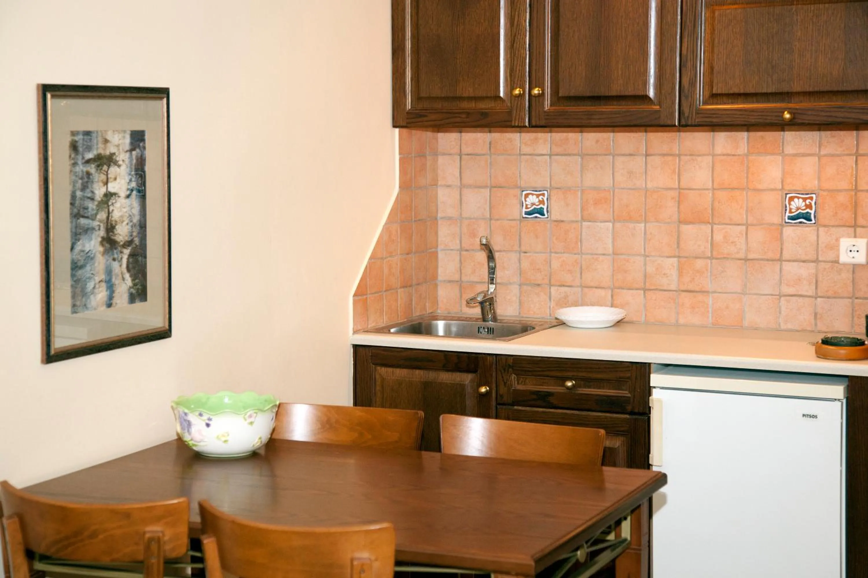 Kitchen or kitchenette in Mylos Hotel Apartments