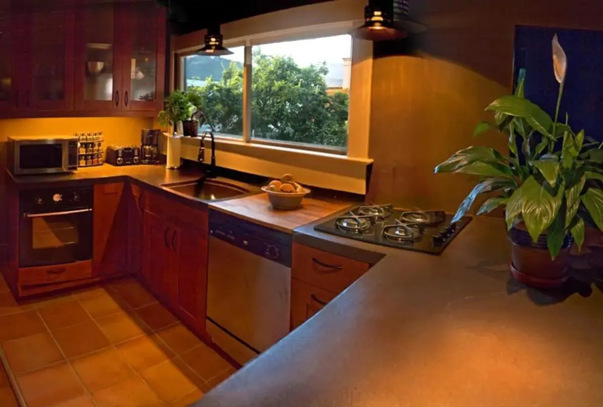 Kitchen or kitchenette in The 3 Dux