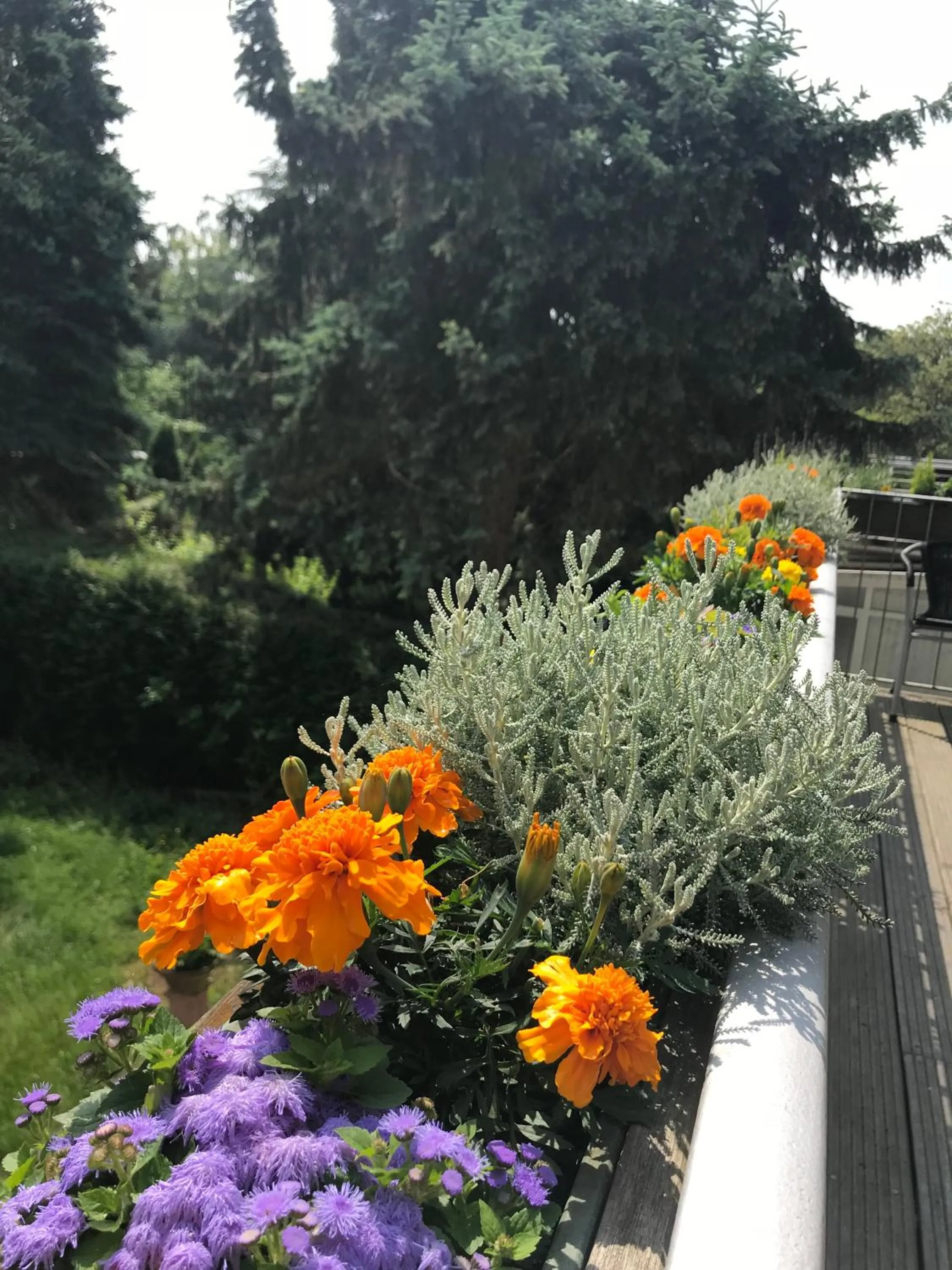 Garden view in Apartmenthaus Sonnen