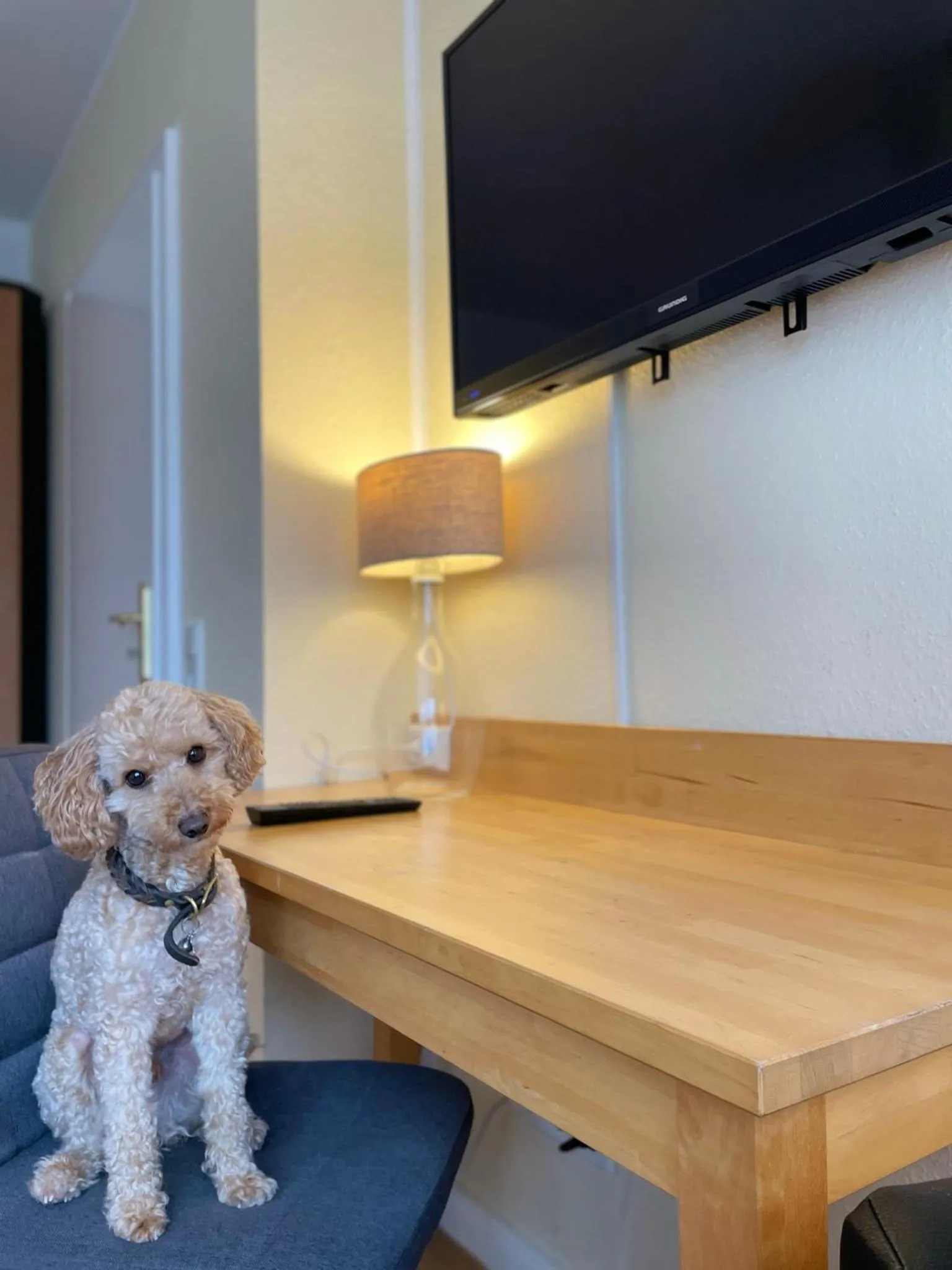 TV and multimedia in Apartmenthaus Sonnen