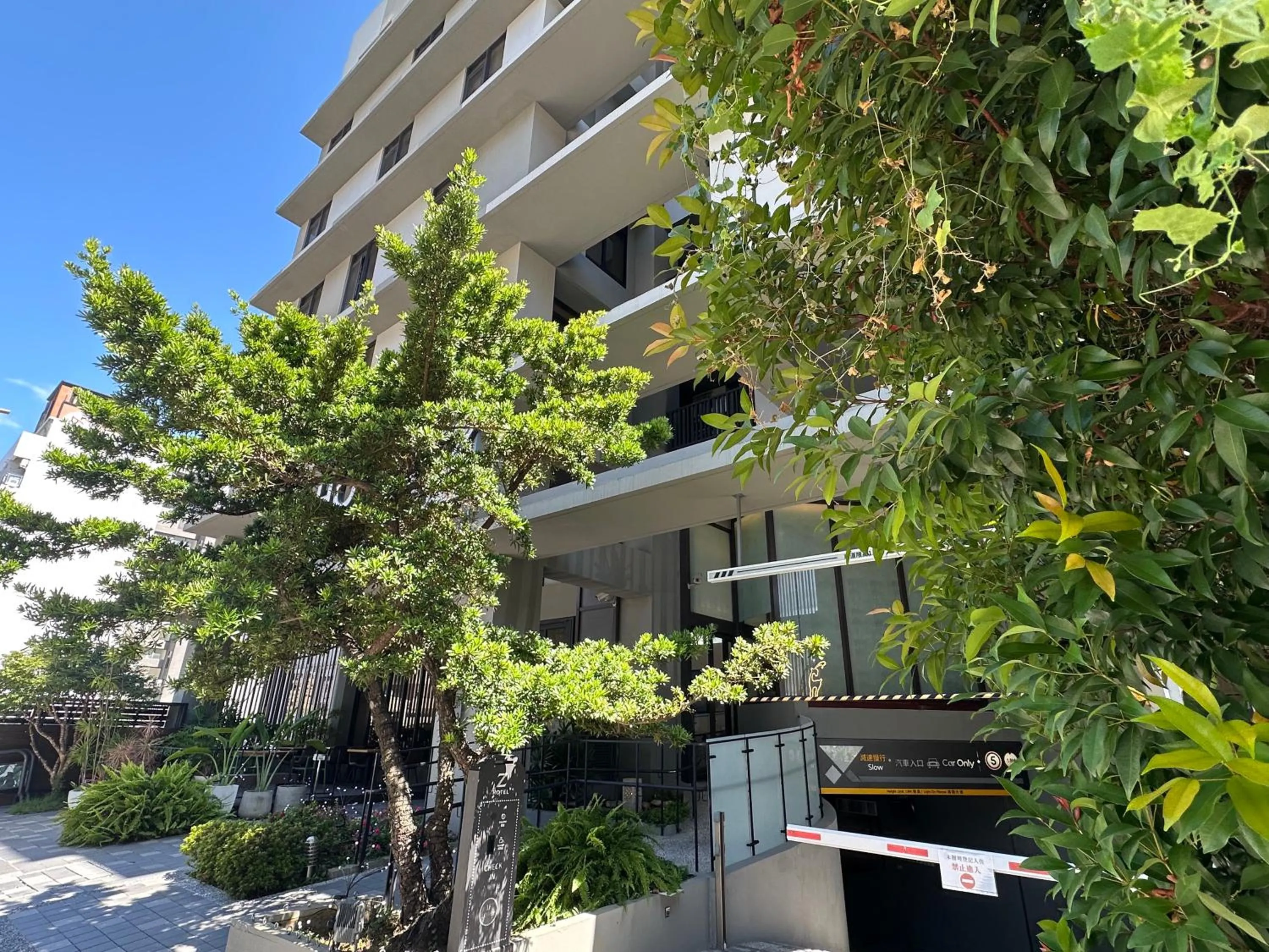 Garden view in Hotel Z