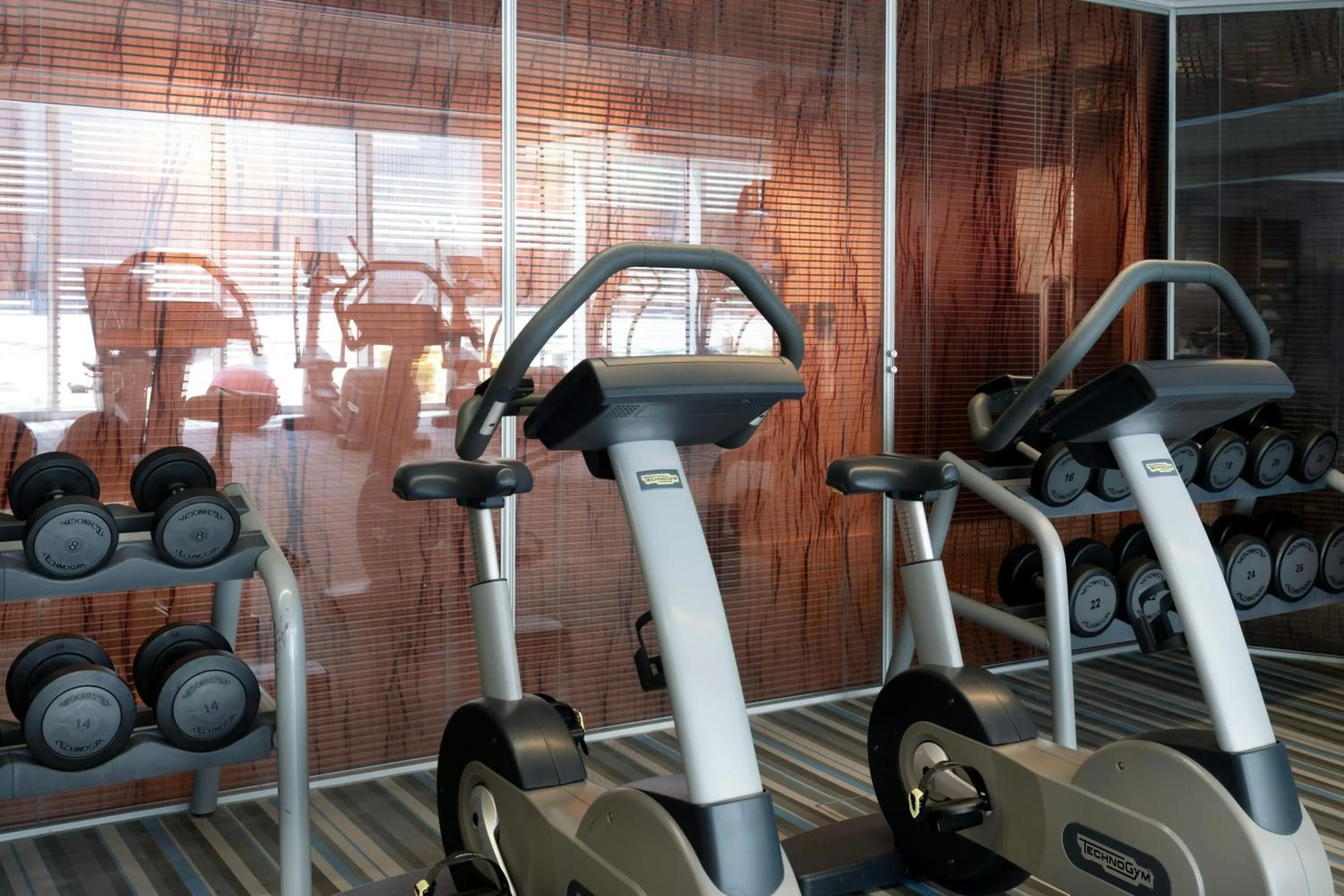 Fitness centre/facilities in Aloft London Excel