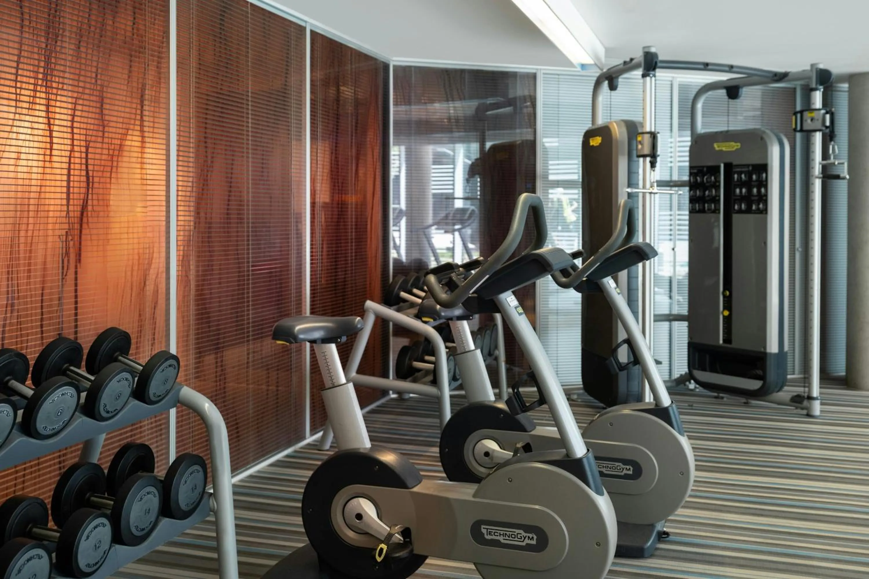 Fitness centre/facilities in Aloft London Excel