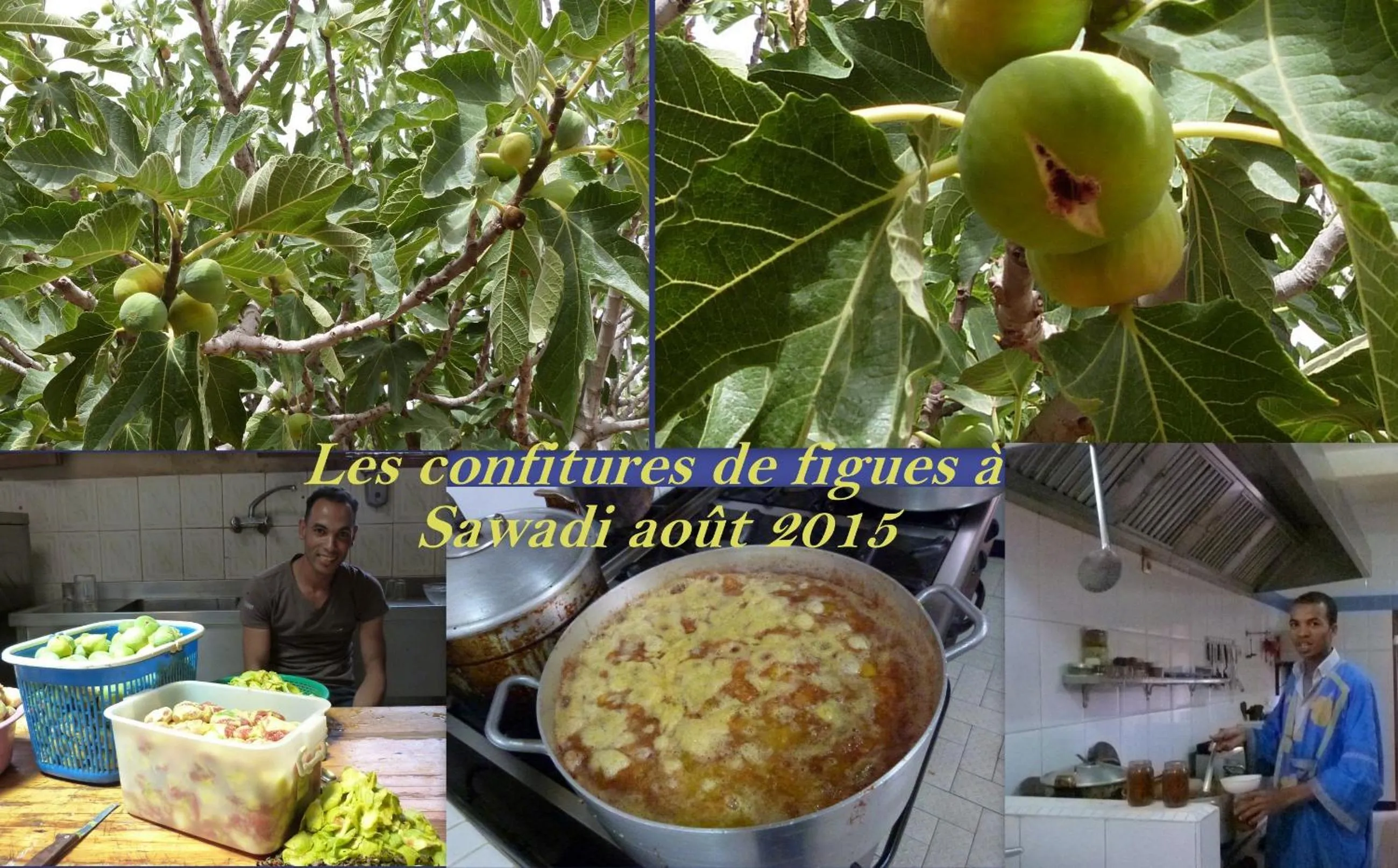 Food in Sawadi Ecolodge
