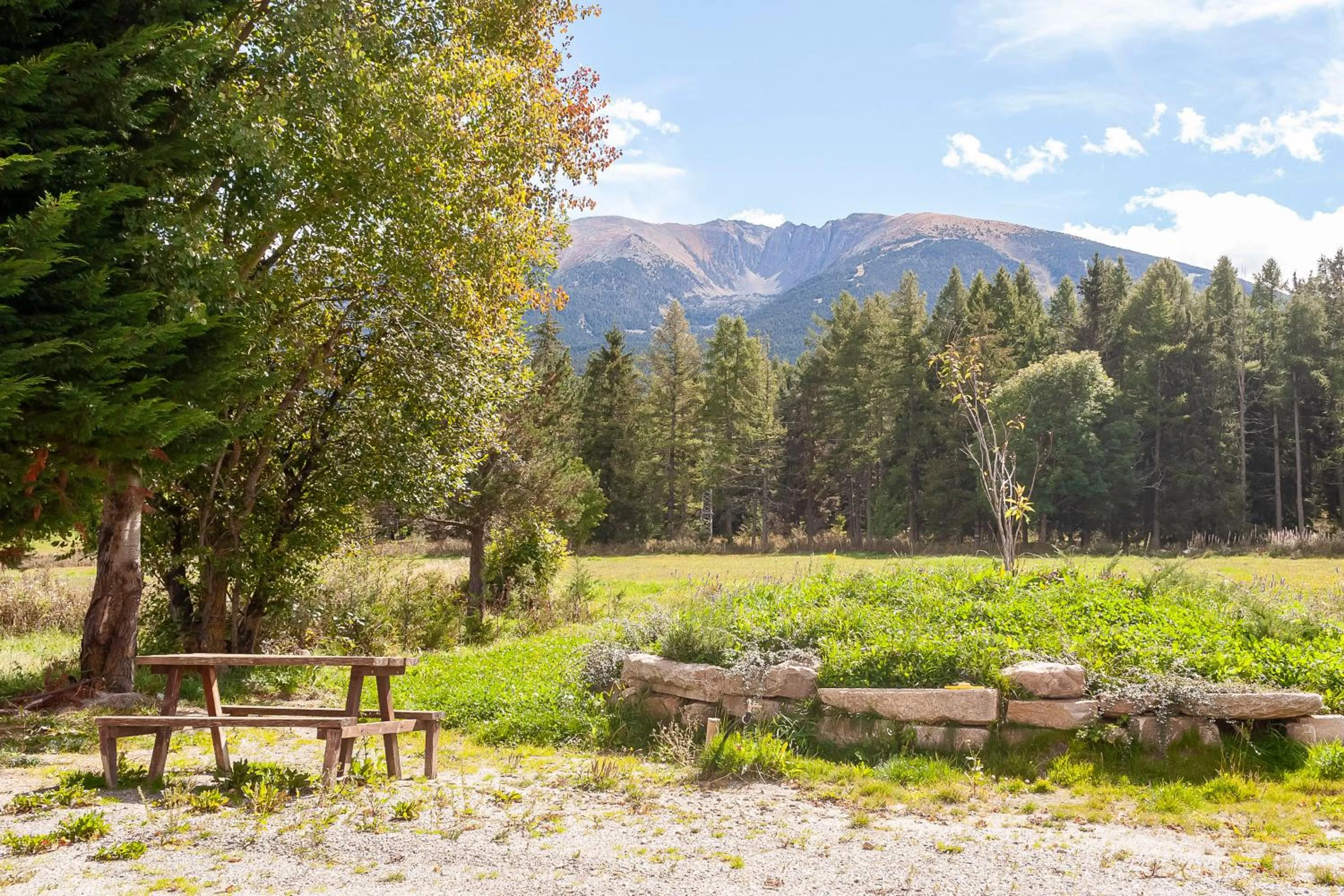 Garden in Le Catalan - Hôtel et appartements
