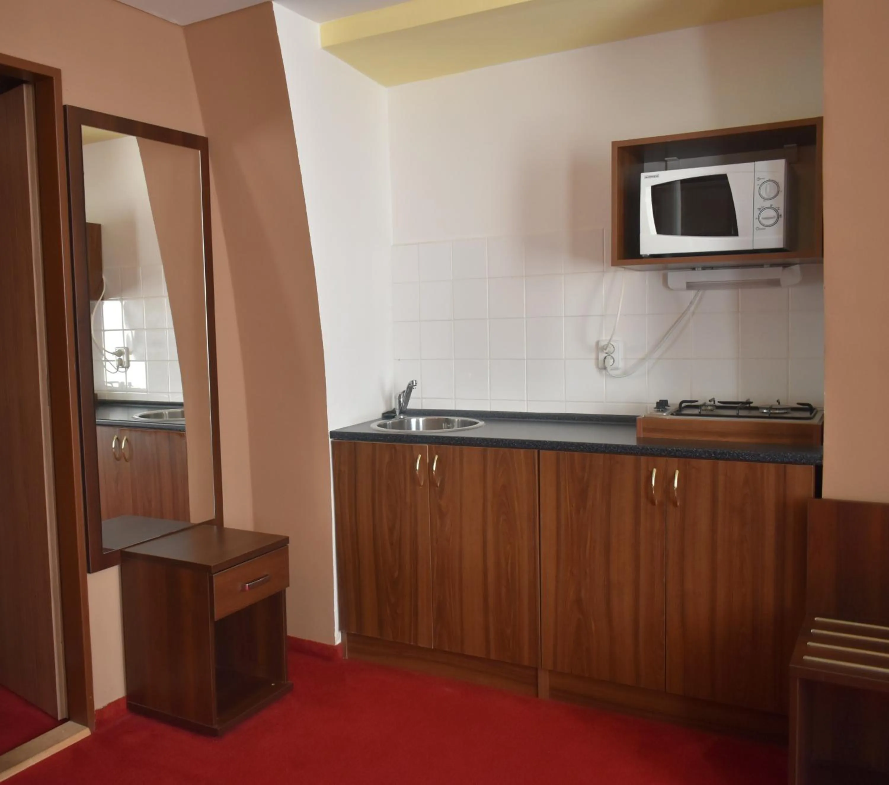 Communal kitchen in Hotel Černý Orel Žatec