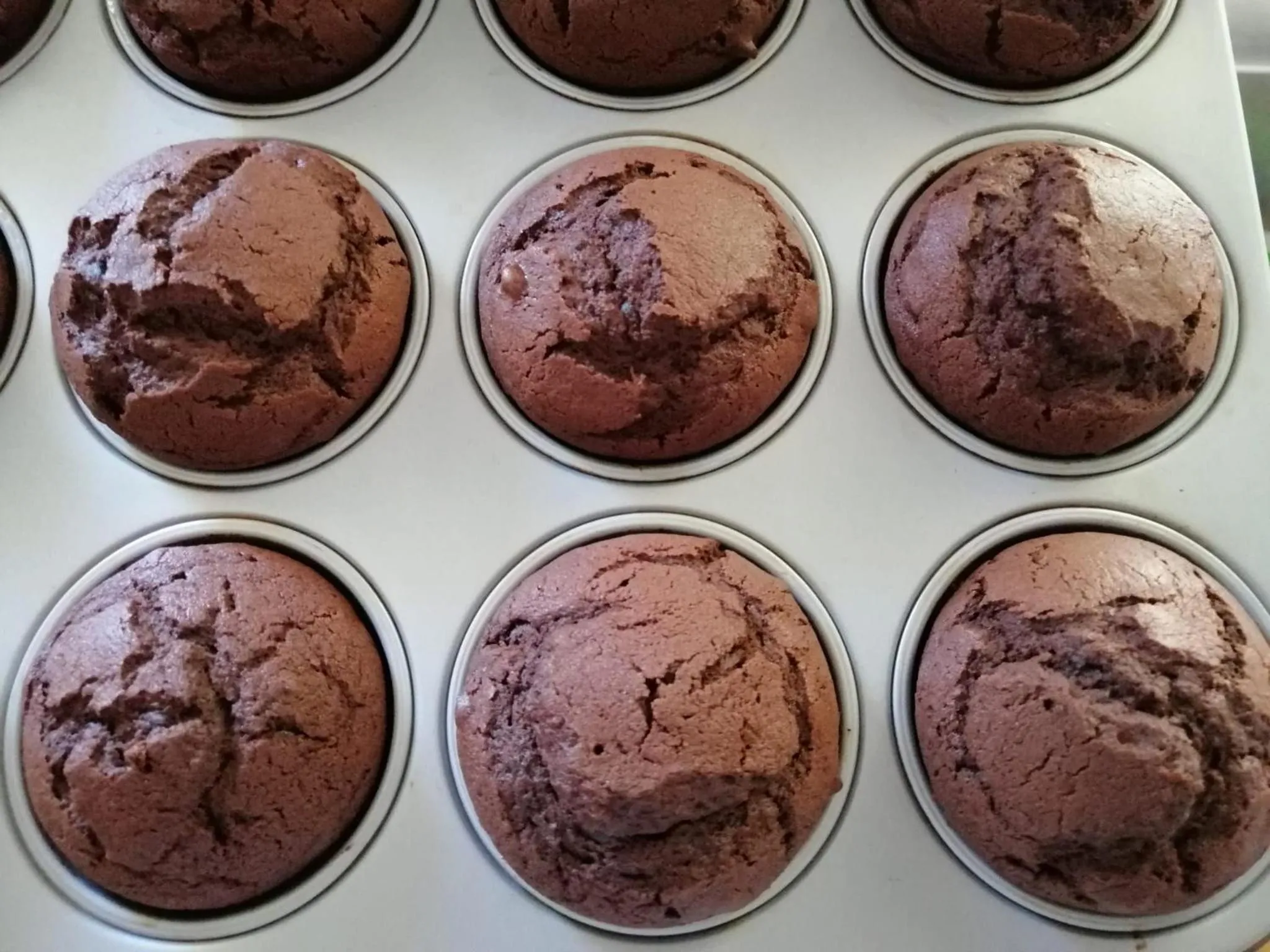 Food and drinks in Hotel Conchiglia