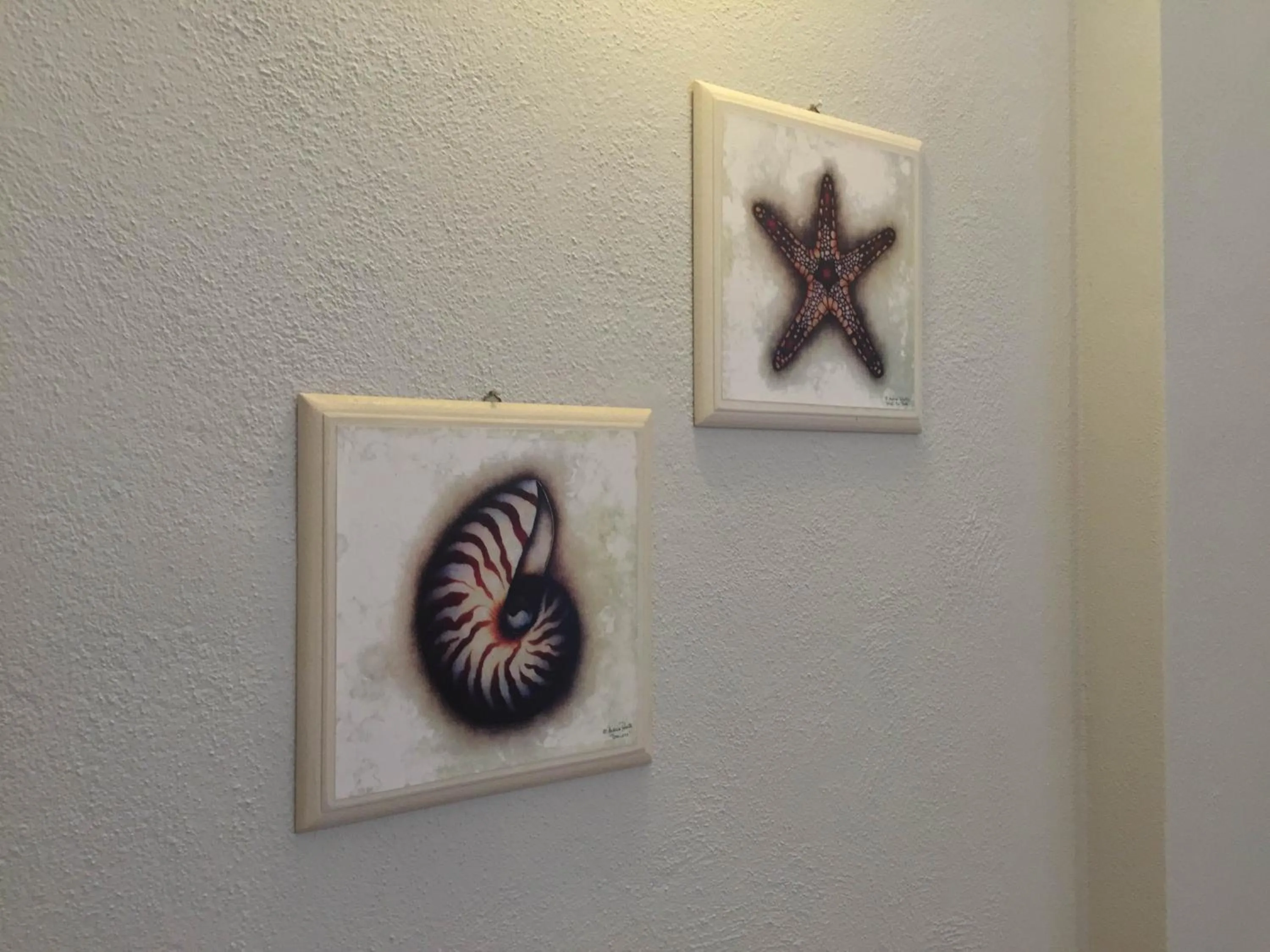 Decorative detail in Hotel Conchiglia