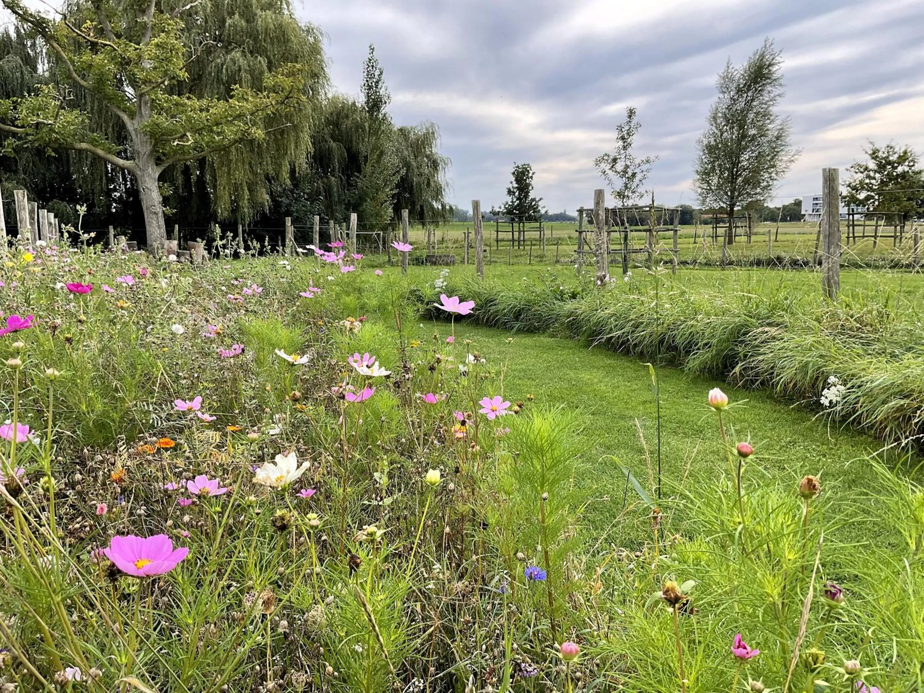 Natural landscape in Hotel - B&B PassaDia