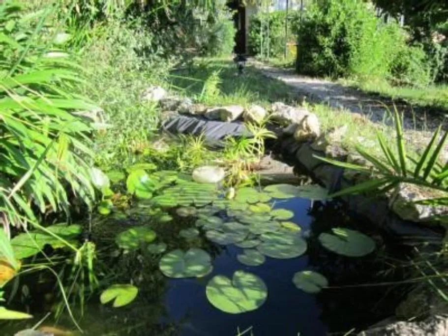Natural landscape in Bed & Breakfast Chambres d'hôtes COTTAGE BELLEVUE