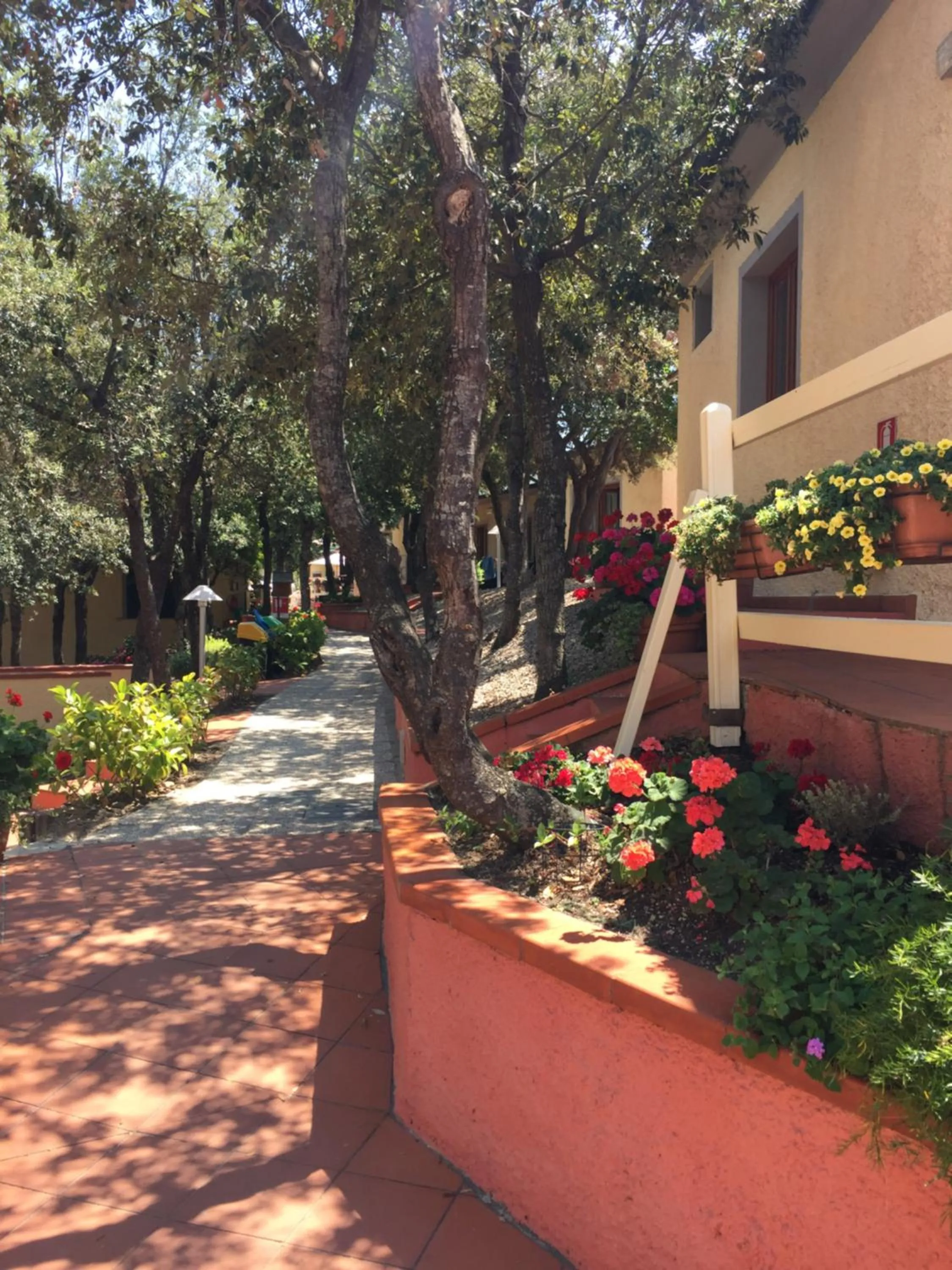 Garden in Hotel La Perla Del Golfo