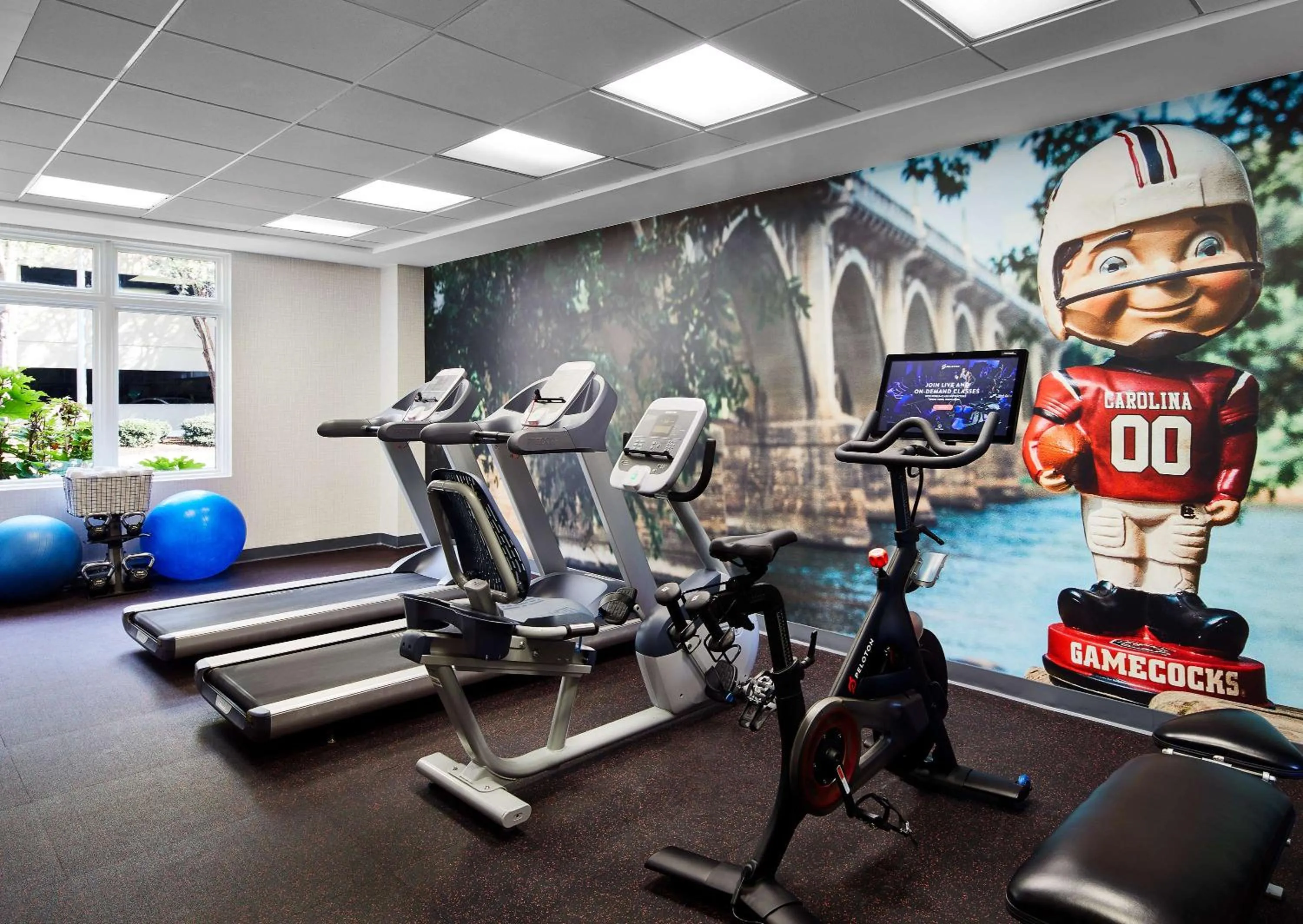 Fitness centre/facilities in Graduate by Hilton Columbia SC