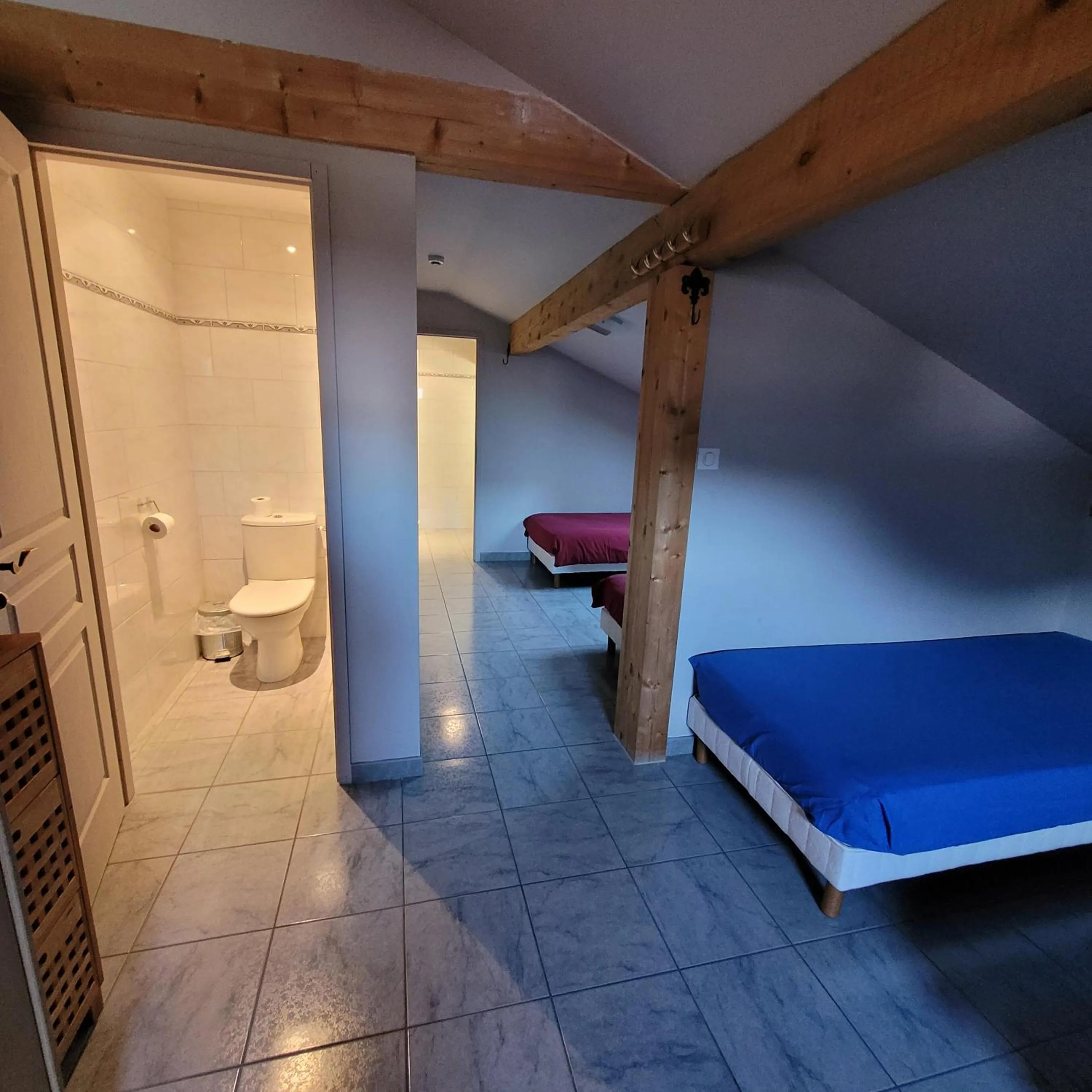 Toilet, Bed in Hotel du lac des Corbeaux