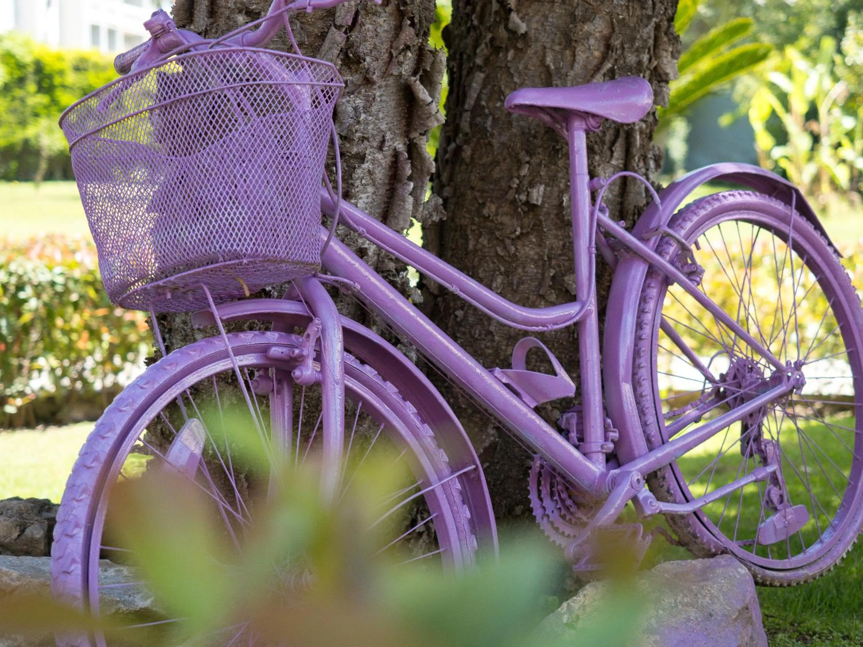 Day in Halıcı Hotel Marmaris