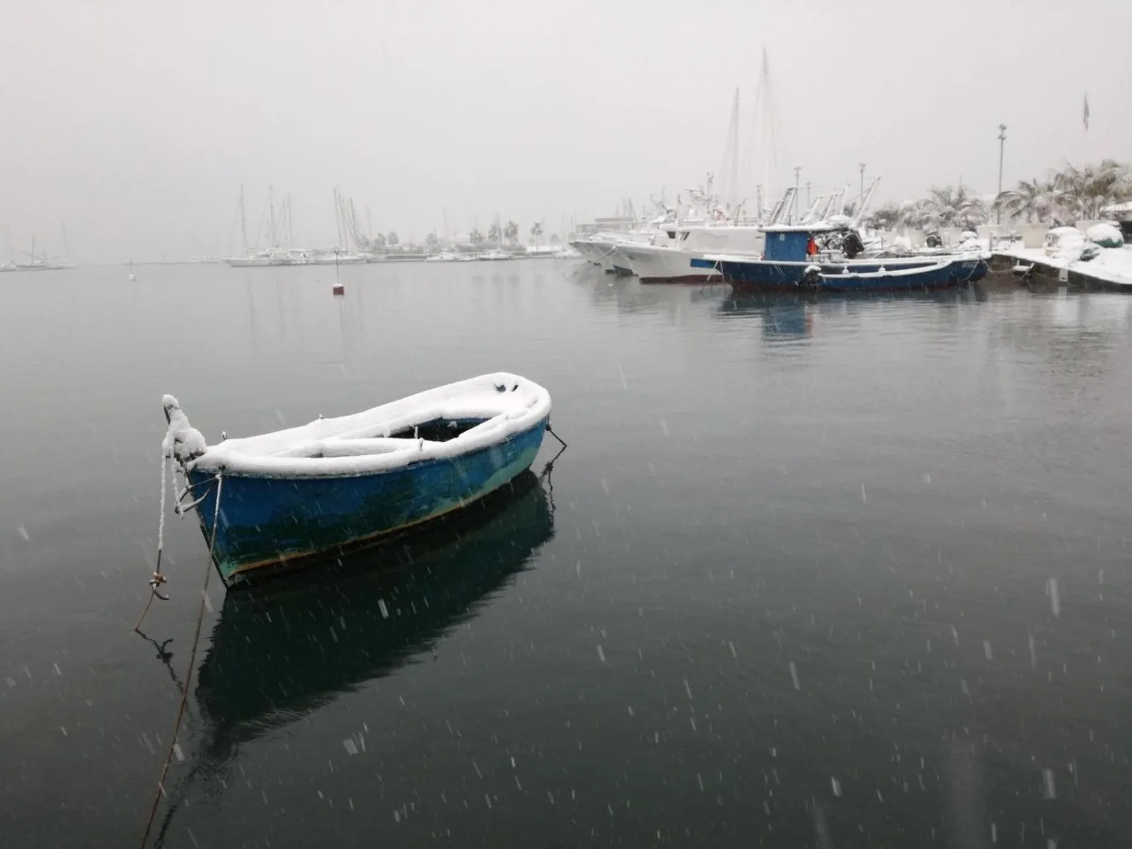 Neighbourhood in Cavallotti 21