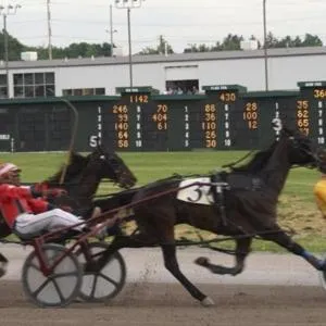 Sports in Stadium View Inn