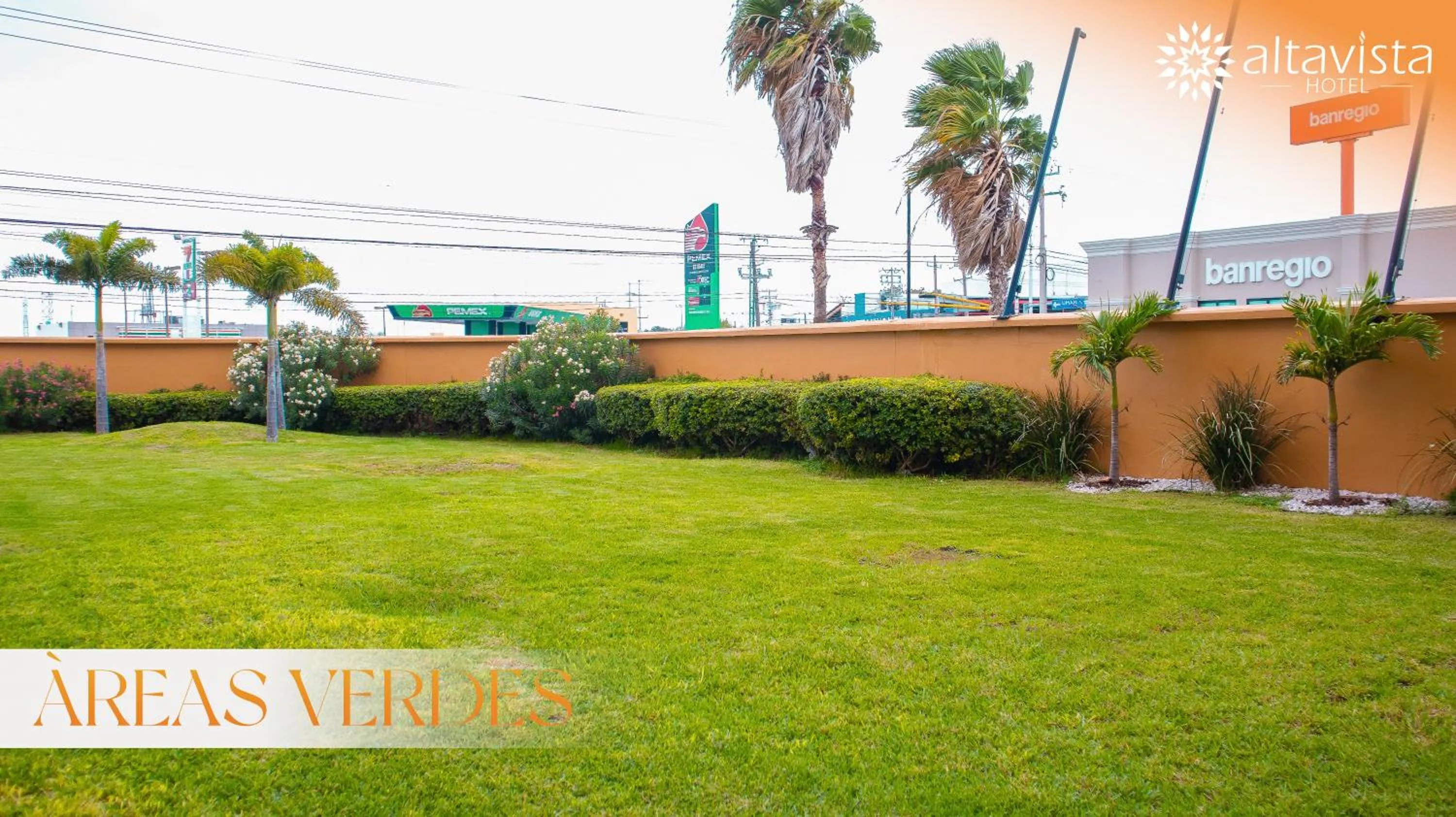 Garden view in Altavista Hotel