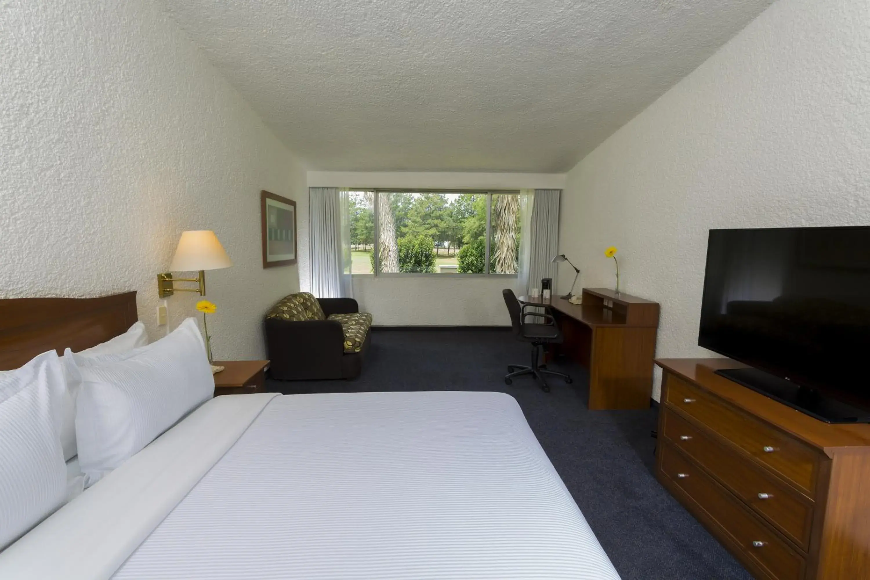 Bedroom, Bed in Gamma Pachuca Bedroom, Bed in Gamma Pachuca