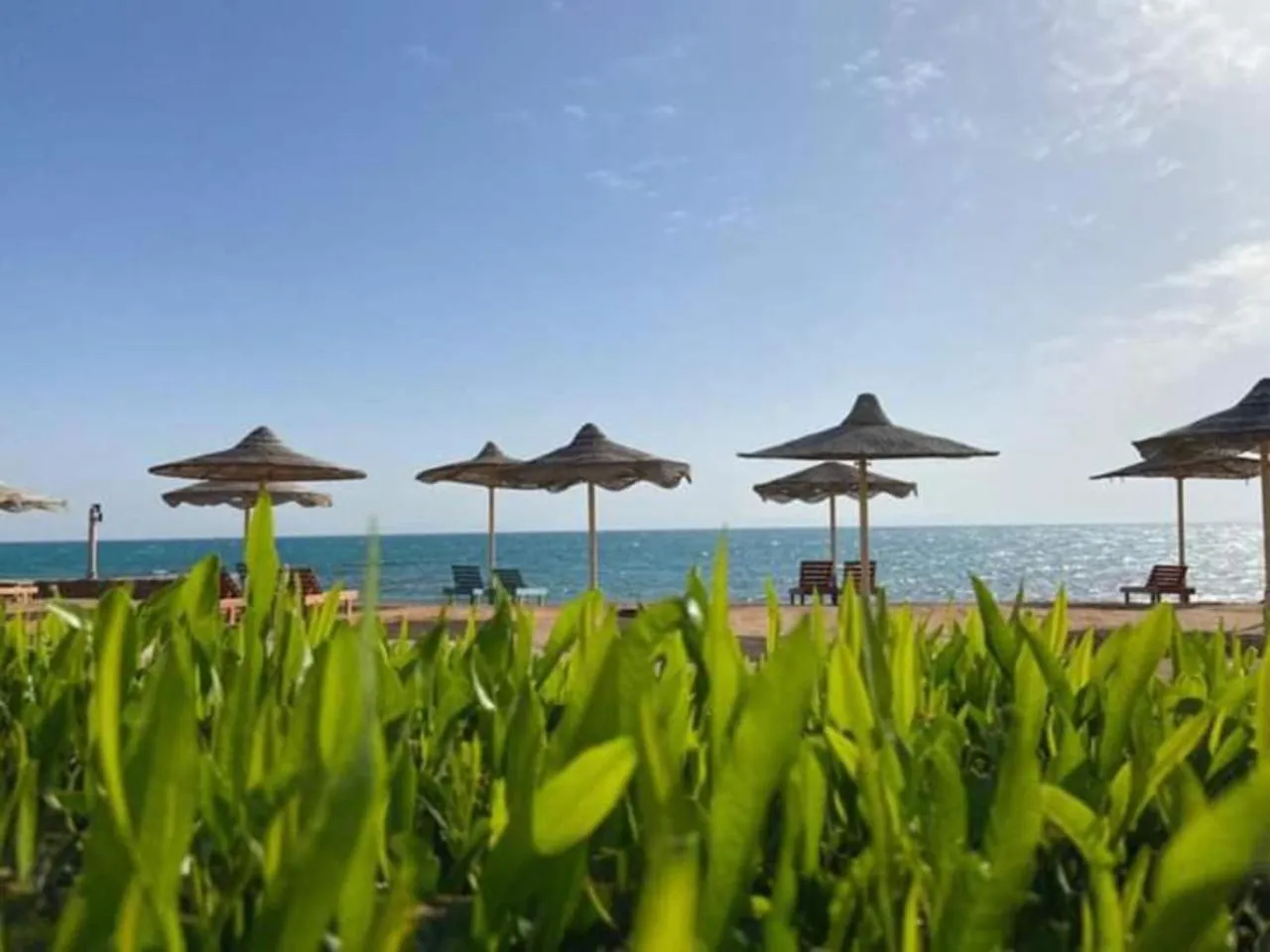 Natural landscape in Fanar Hotel