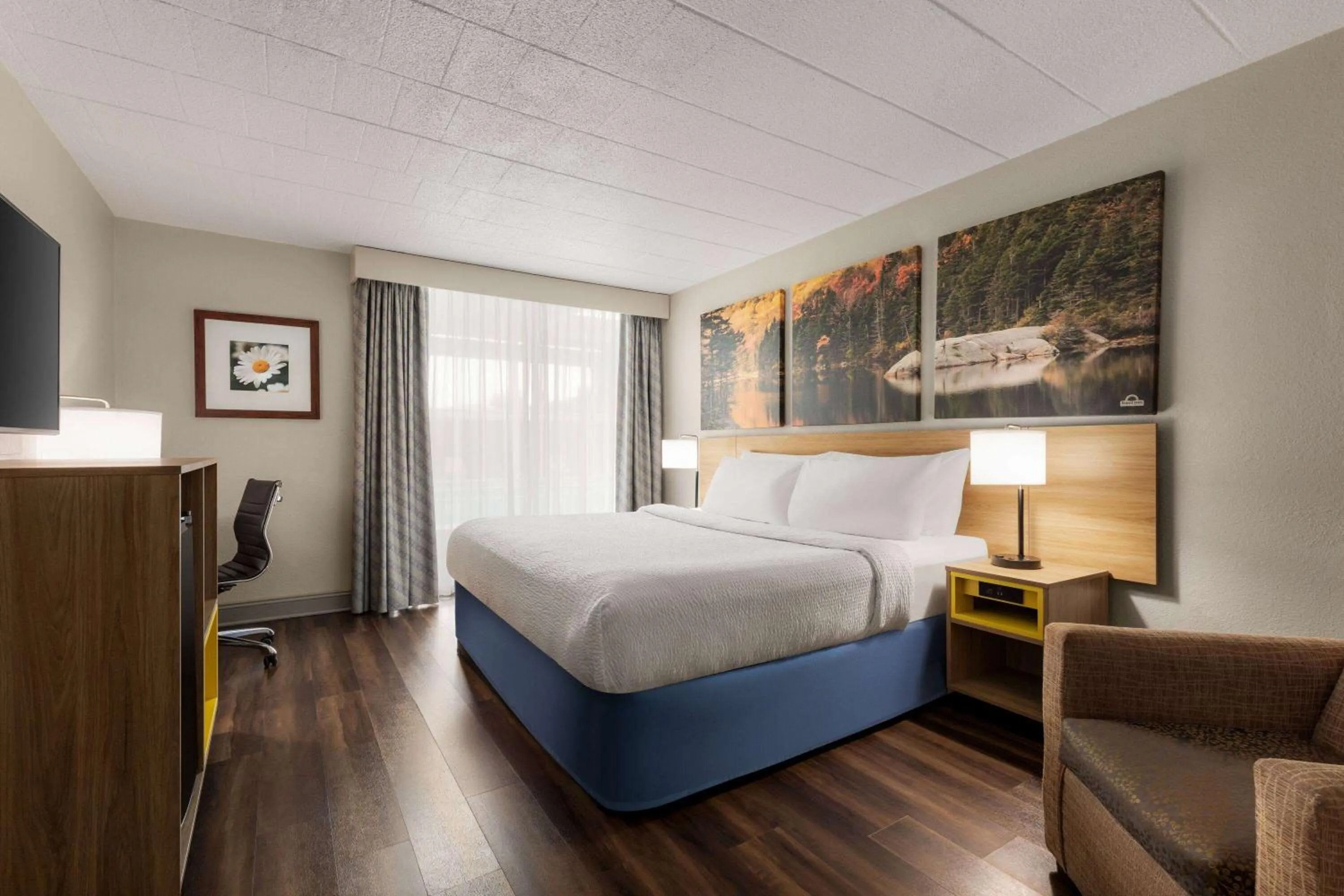 Photo of the whole room, Bed in Days Hotel by Wyndham Allentown Airport / Lehigh Valley