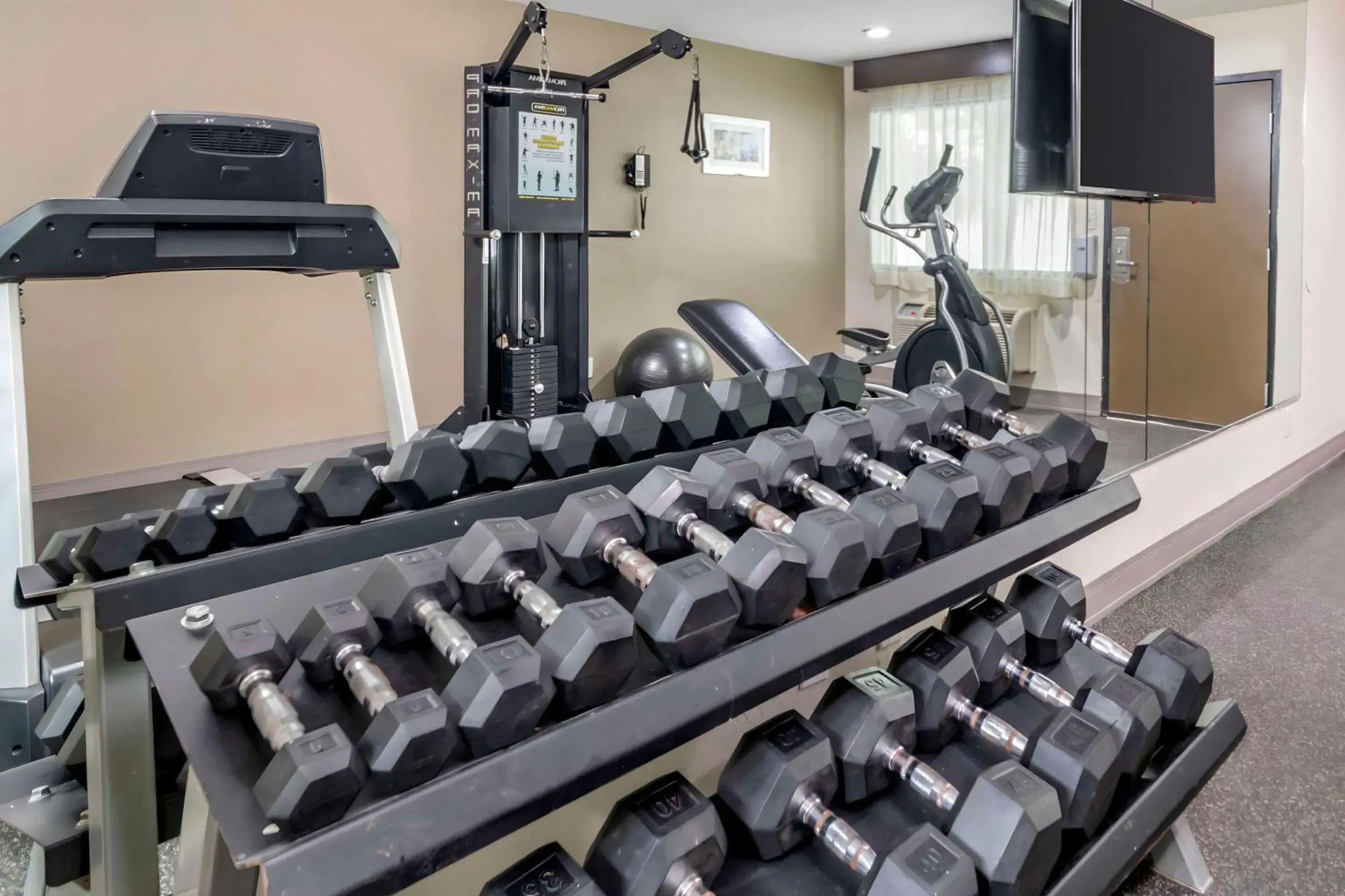 Fitness centre/facilities in Quality Inn & Suites Athens University Area Fitness centre/facilities in Quality Inn & Suites Athens University Area