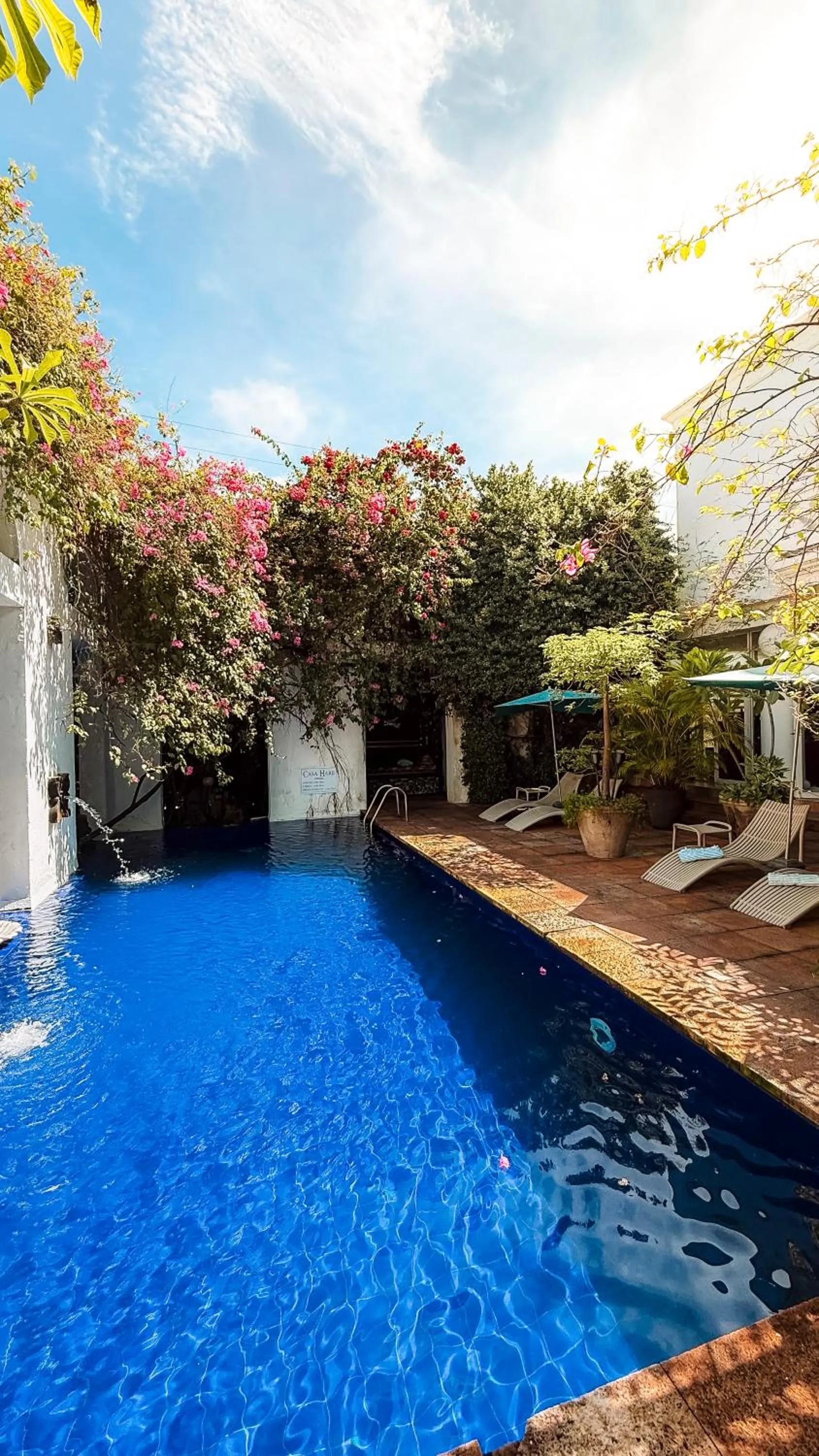 Day in Casa Harb Hotel Boutique