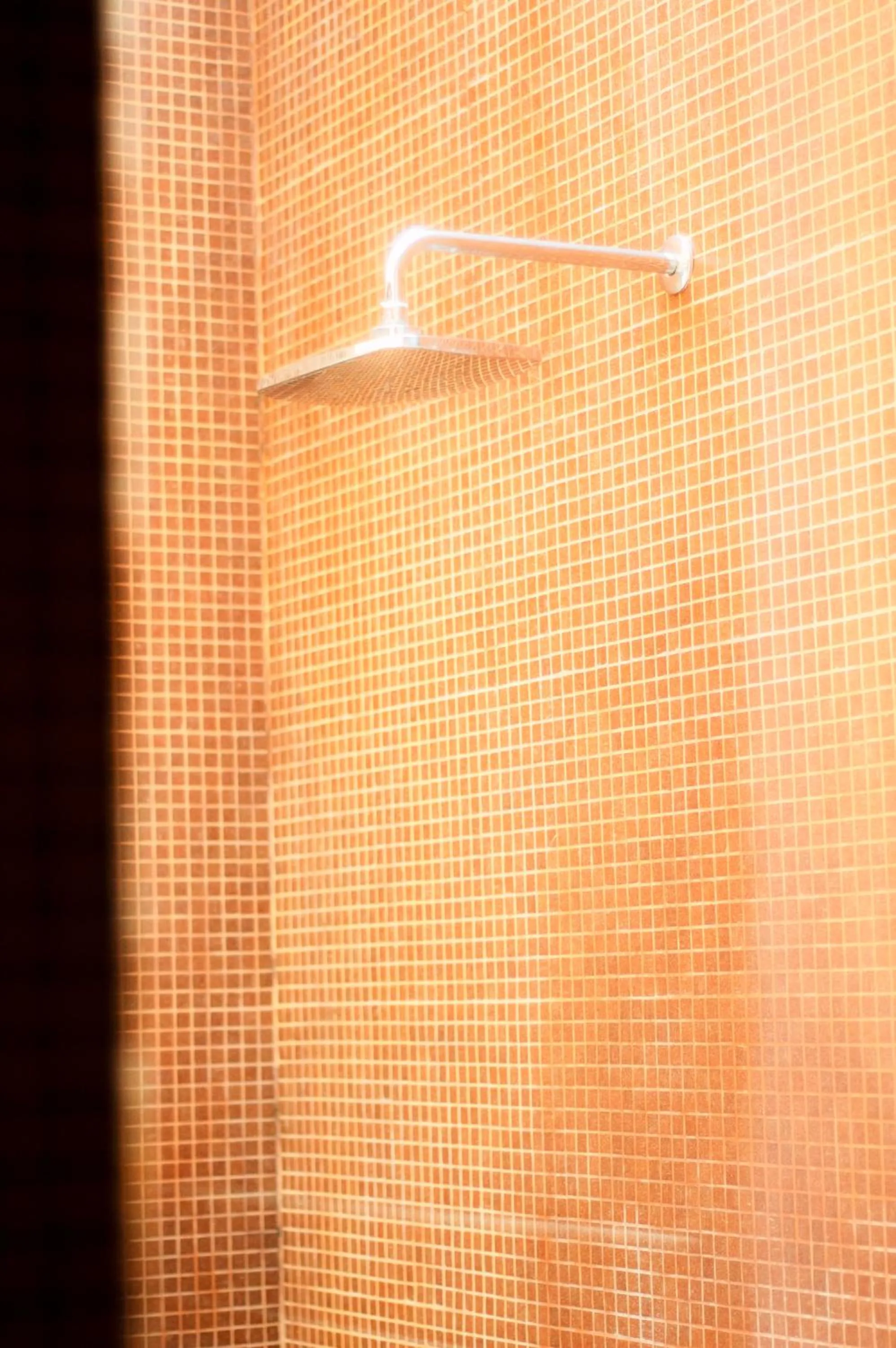 Shower in Casa Harb Hotel Boutique