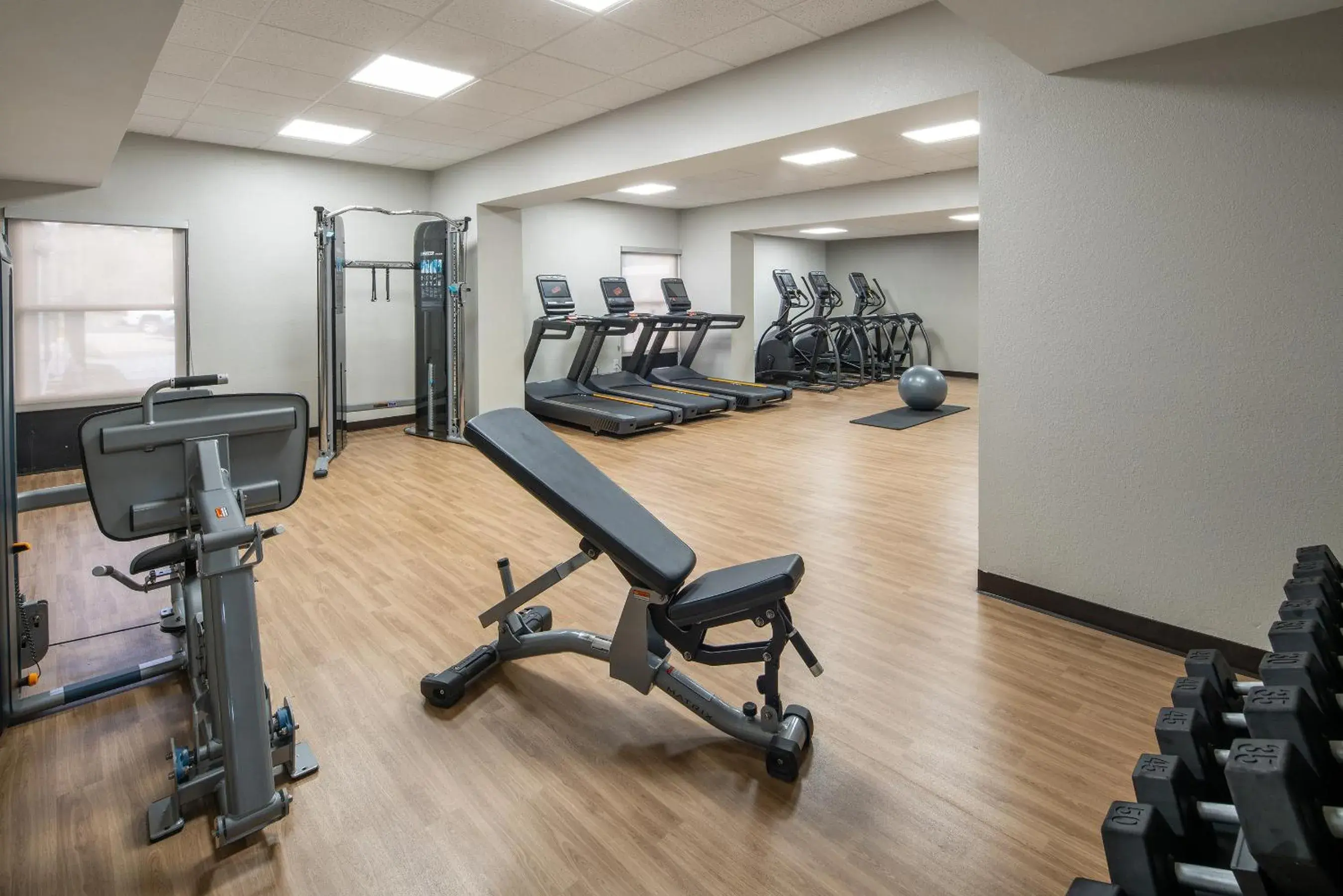 Fitness centre/facilities in Avalon Hotel & Suites Alexandria Fitness centre/facilities in Avalon Hotel & Suites Alexandria