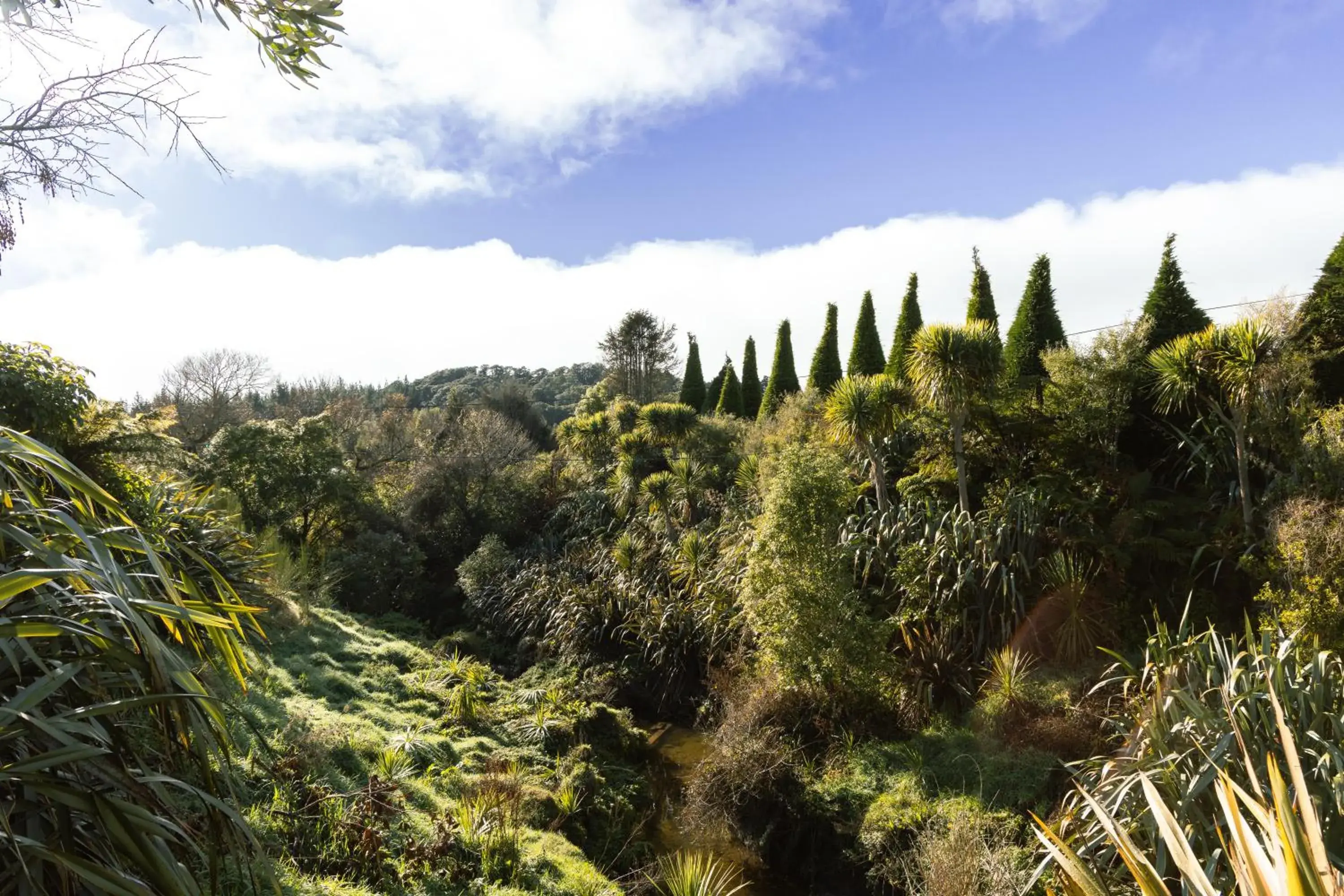 Apostles View Motel Apostles View Motel