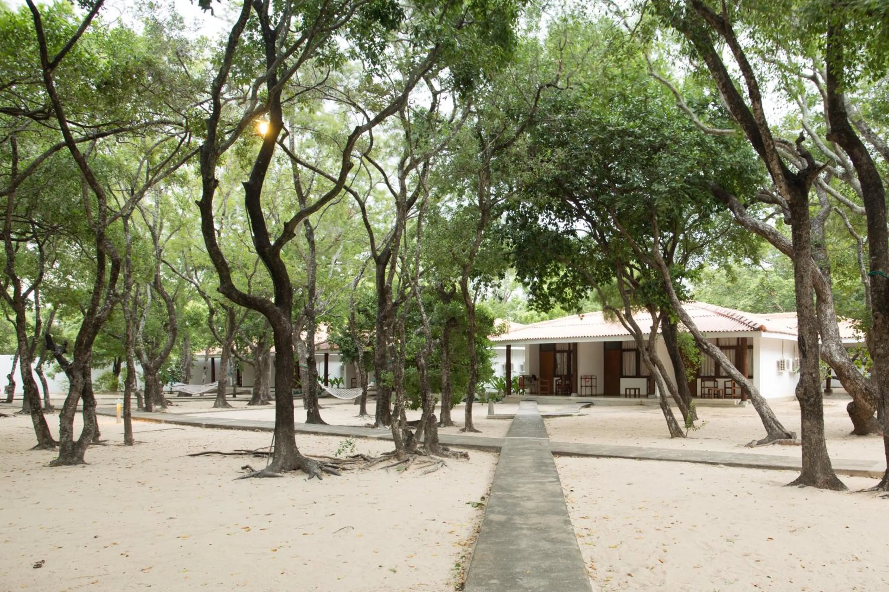Garden in Nilaveli Beach Hotel