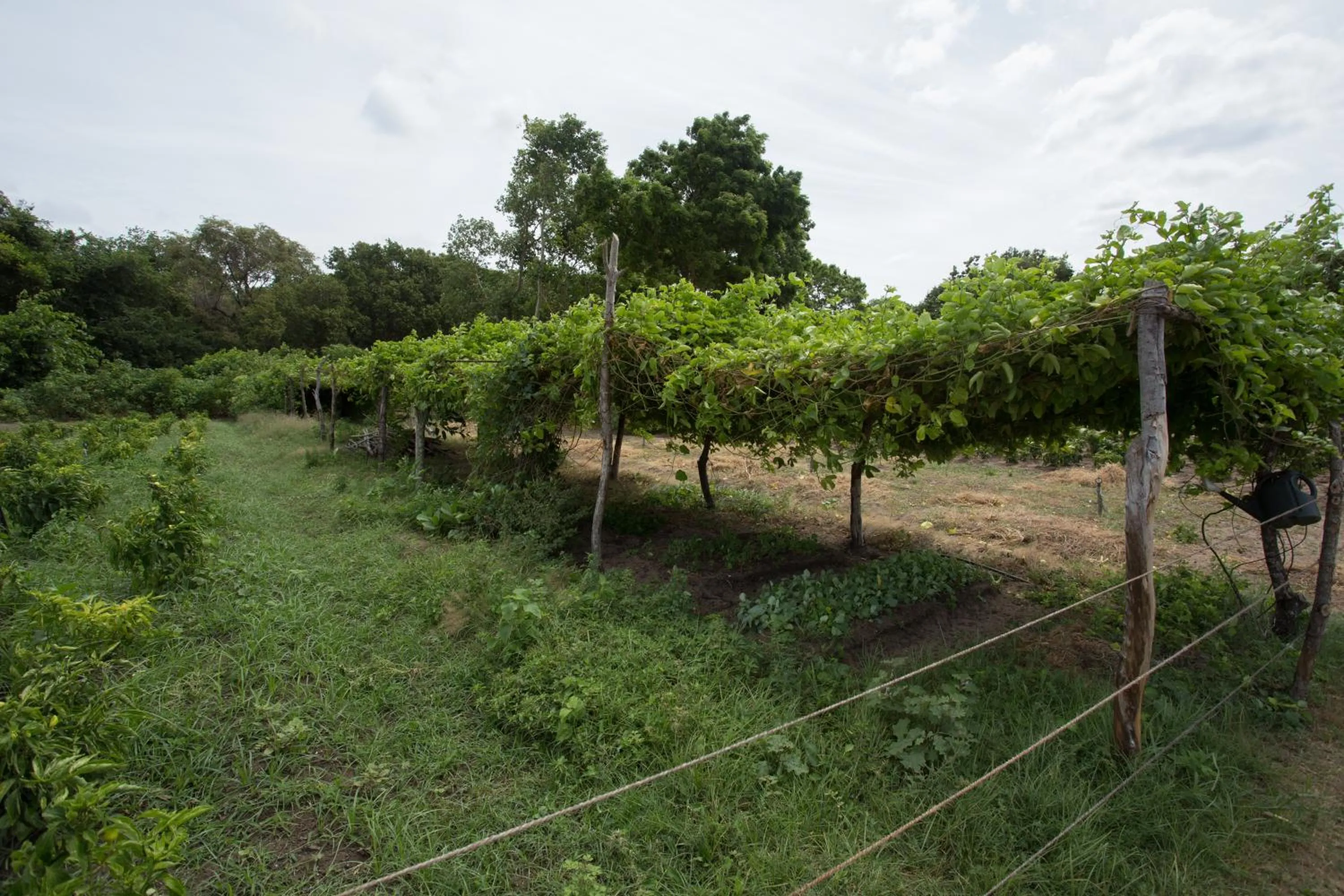 Area and facilities in Nilaveli Beach Hotel