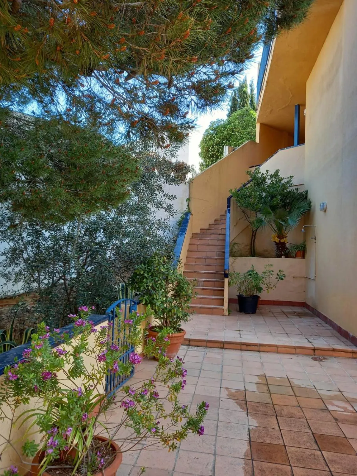 Facade/entrance in Apartamentos Marblau