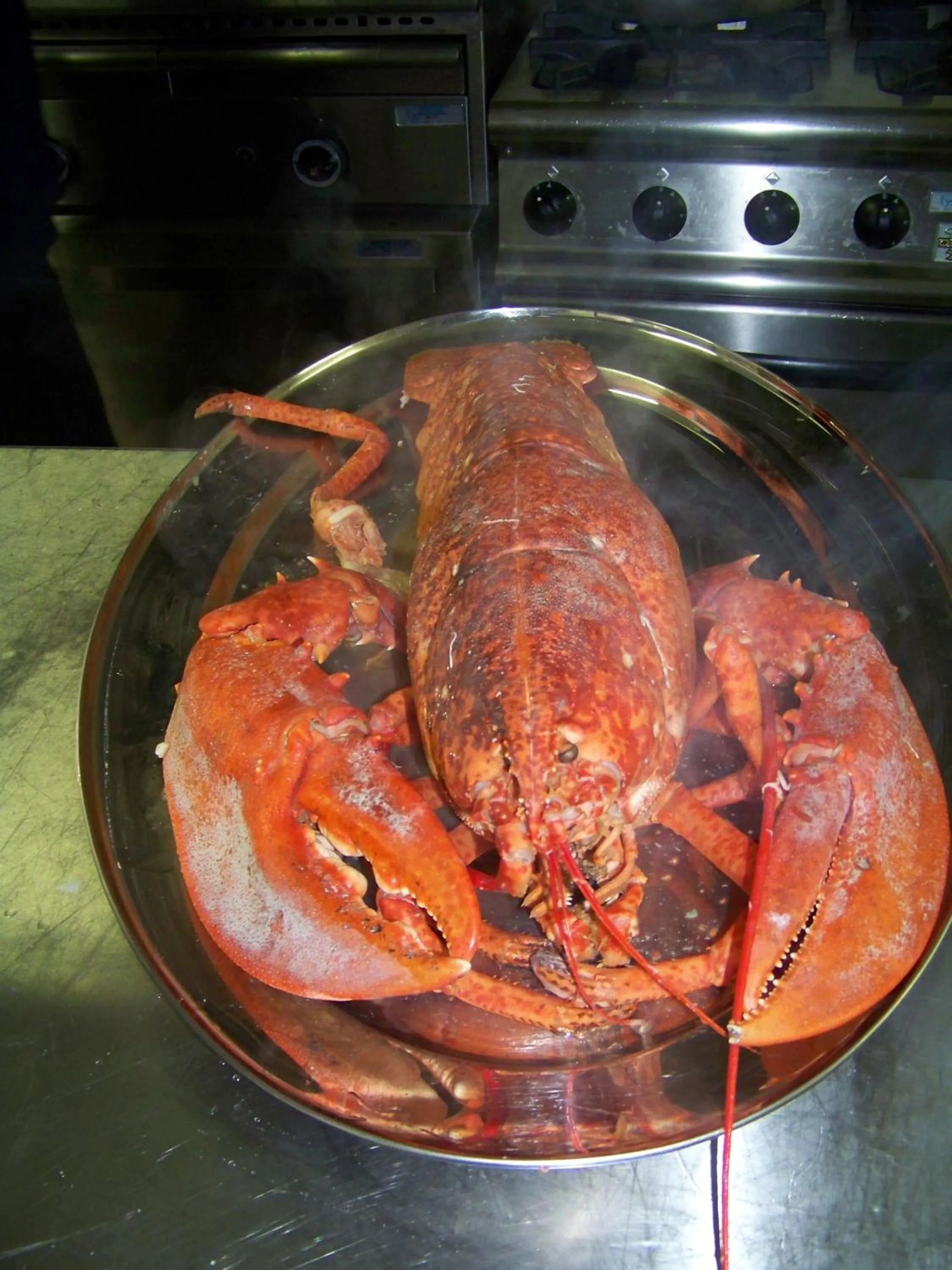 Restaurant/places to eat in Hotel Achillion